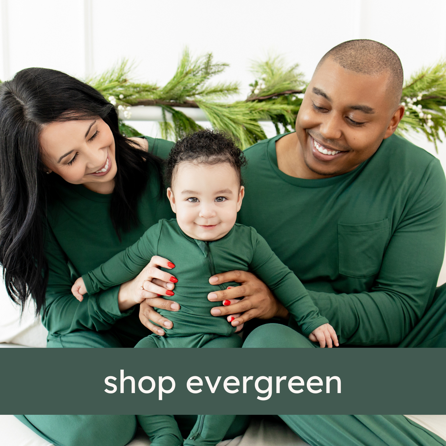 shop evergreen graphic