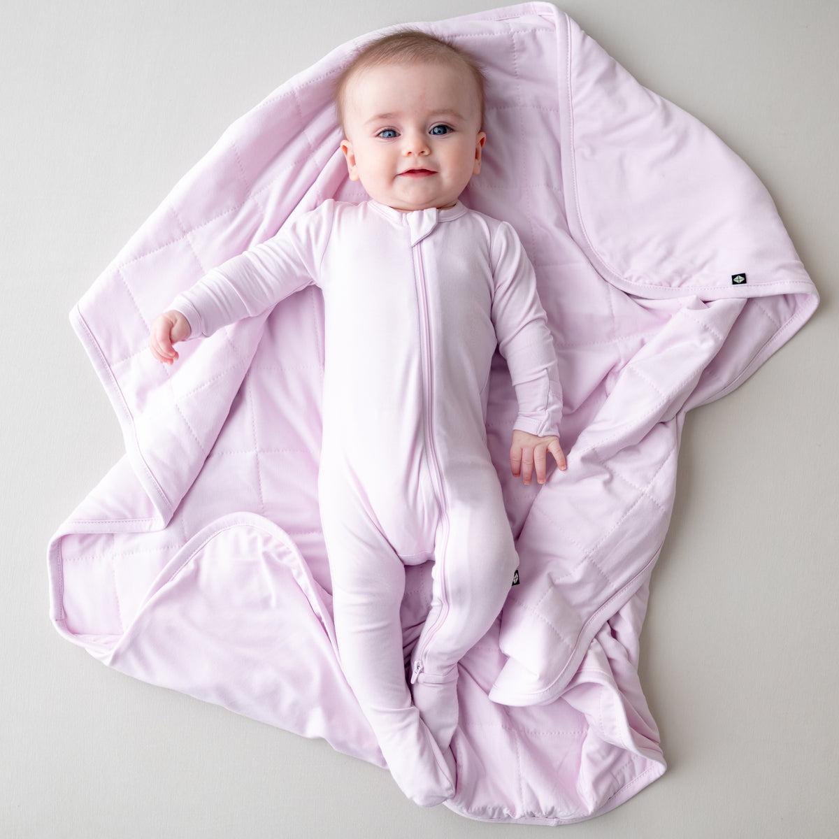 Blanket Thistle 1.0