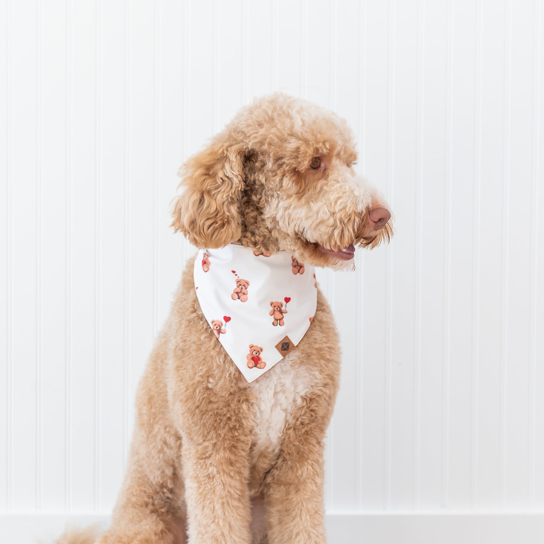 Medium sized dog wearing the Dog Bandana in Bear Hearts
