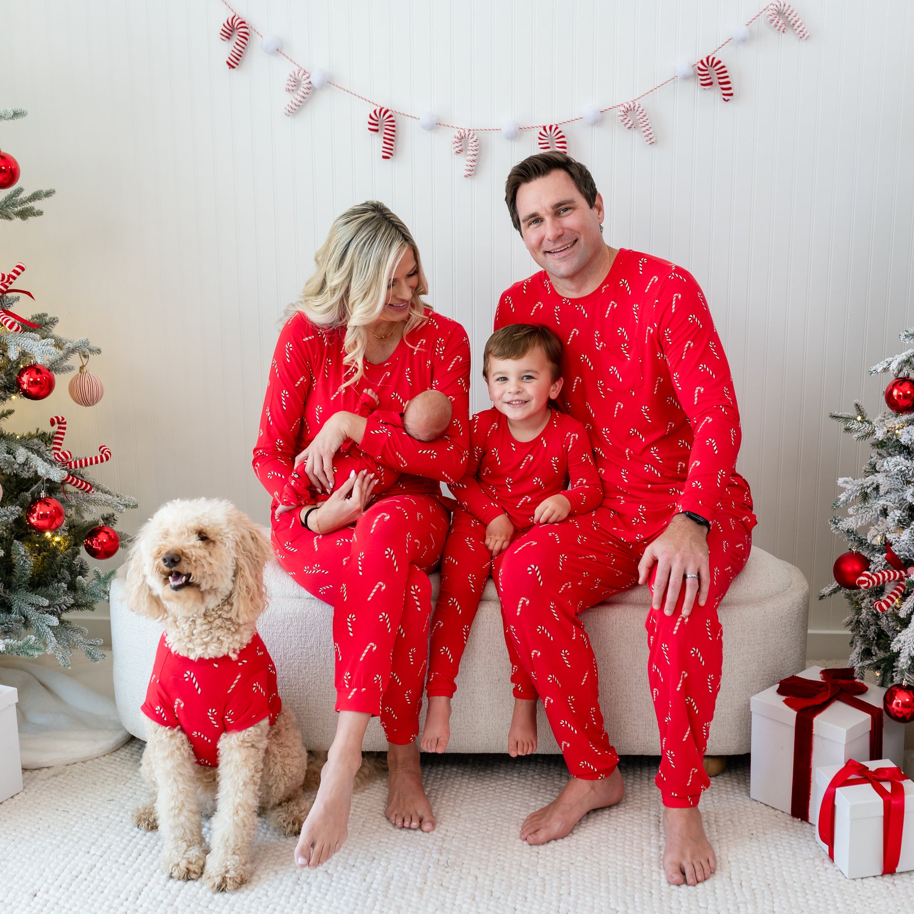 Family of four sitting on a cream ottoman matching in the holiday print Candy Cane with their dog in front of them wearing the Dog Tee in Candy Cand
