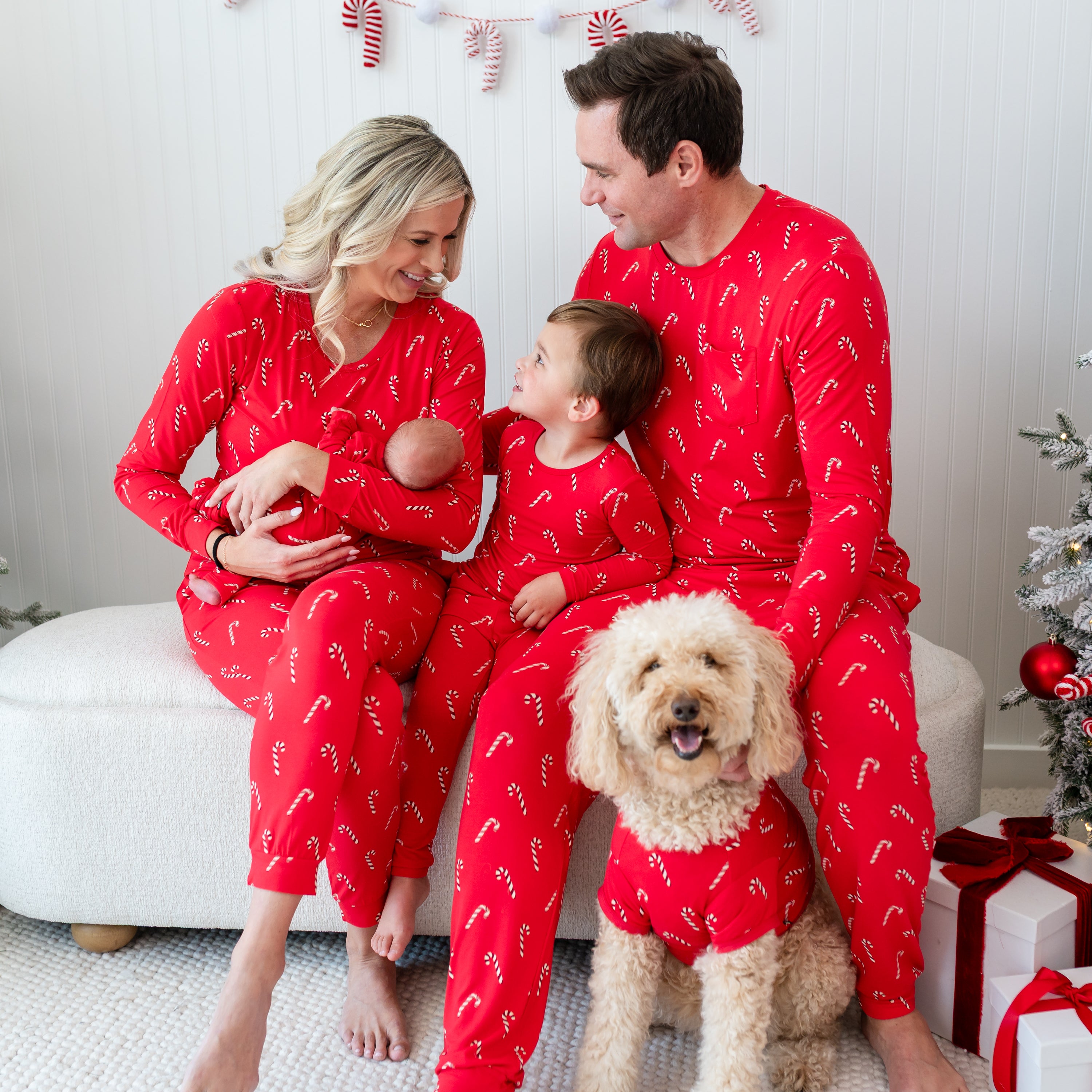 Family of four sitting on an ottoman wearing matching Candy Cane pajama sets with their medium sized dog sitting in front of them wearing the Dog Tee in Candy Cane