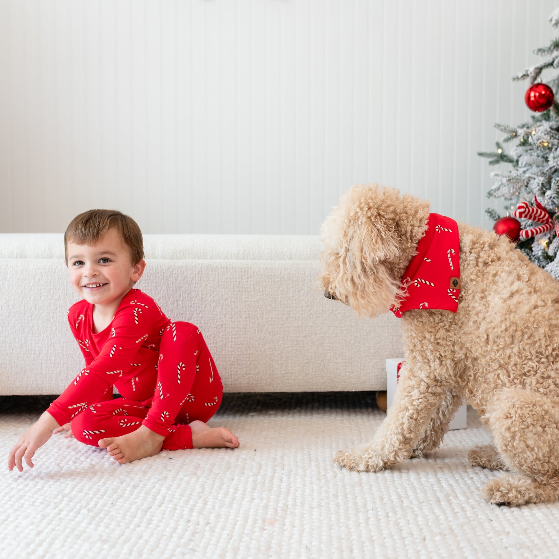 Young boy wearing the long sleeve toddler pajamas in Candy Cane sitting on the floor on top of a cream rug beside a medium sized dog wearing the Dog Bandana in Candy Cane
