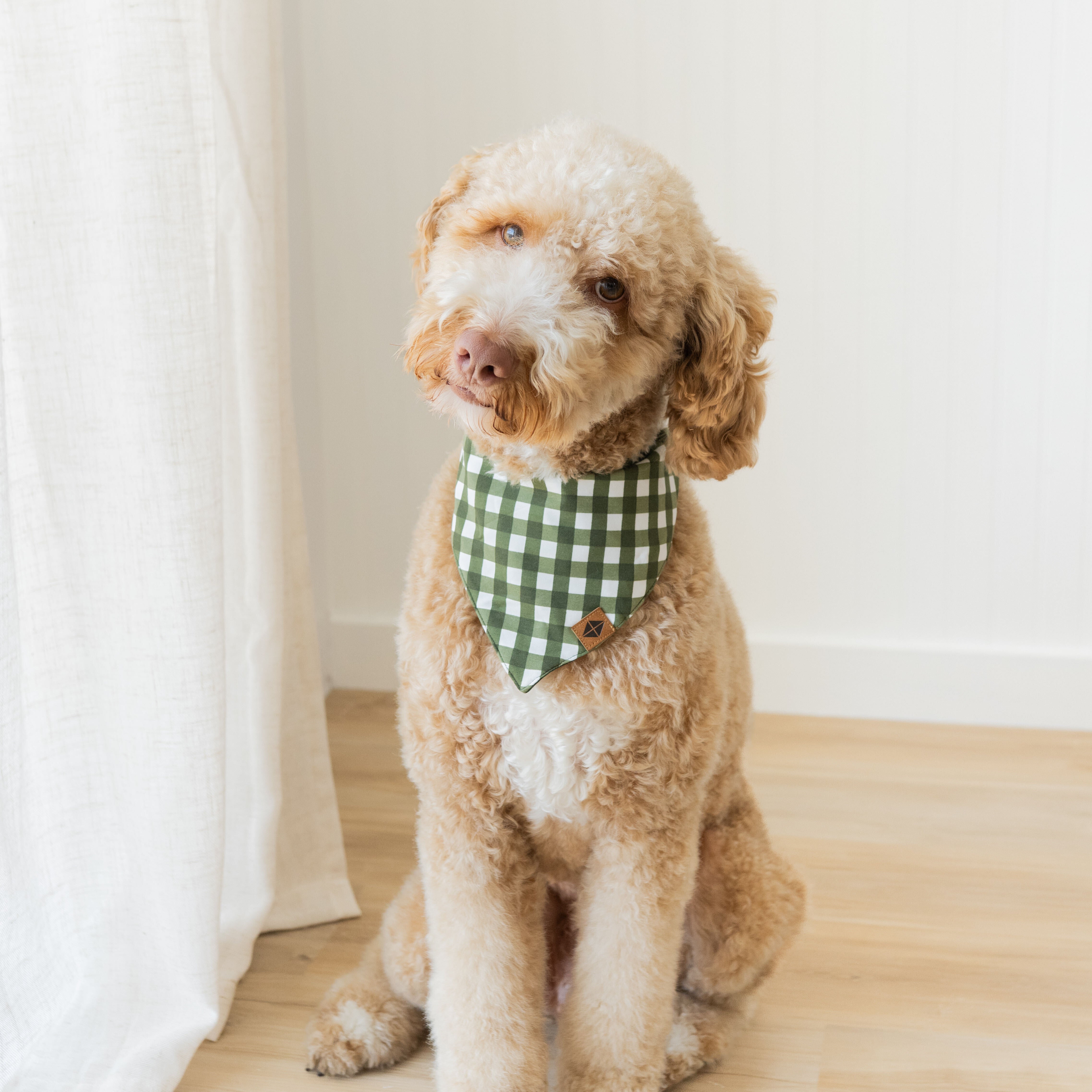 Medium sized dog wearing the Dog Bandana in Gingham Fir