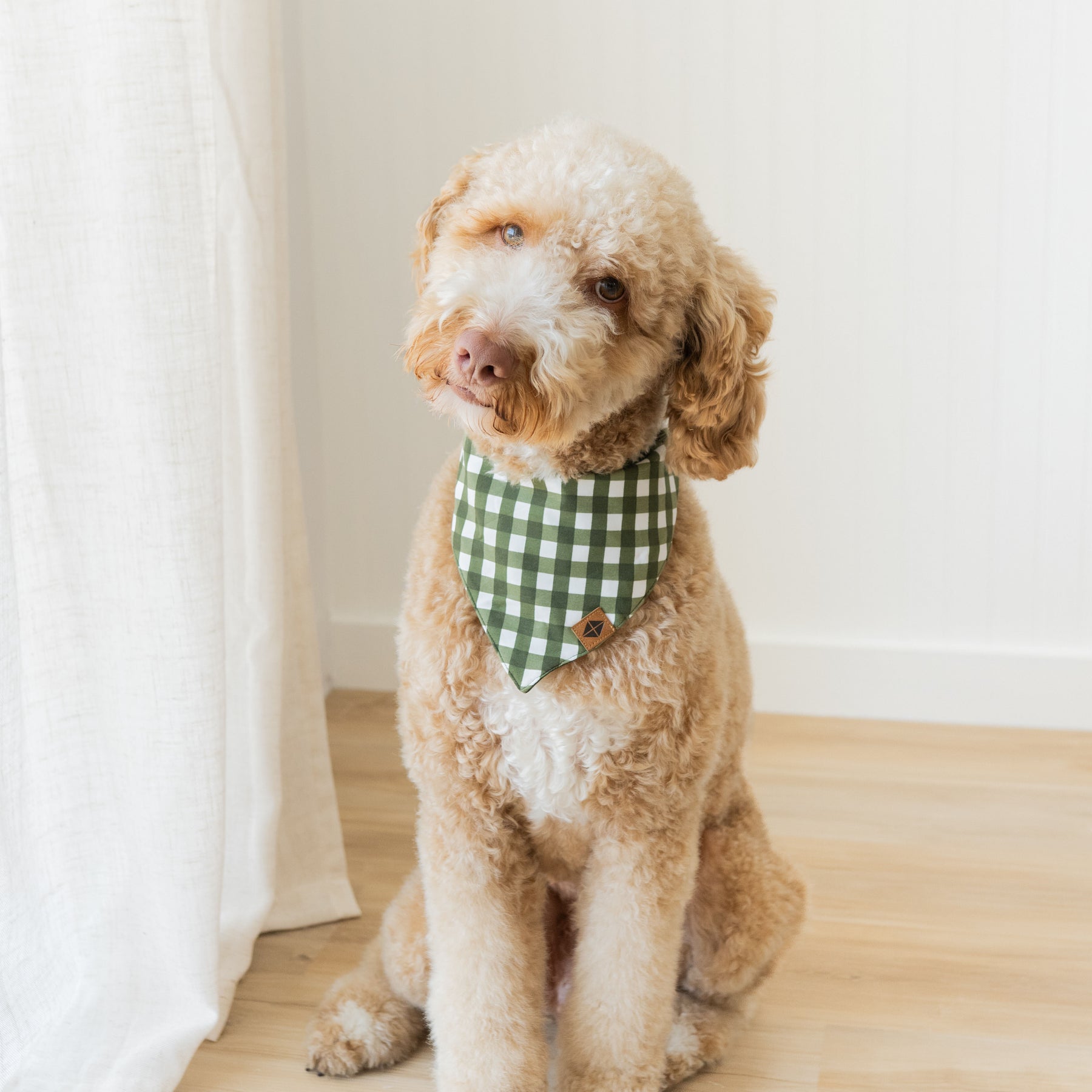 Medium sized dog wearing the Dog Bandana in Gingham Fir