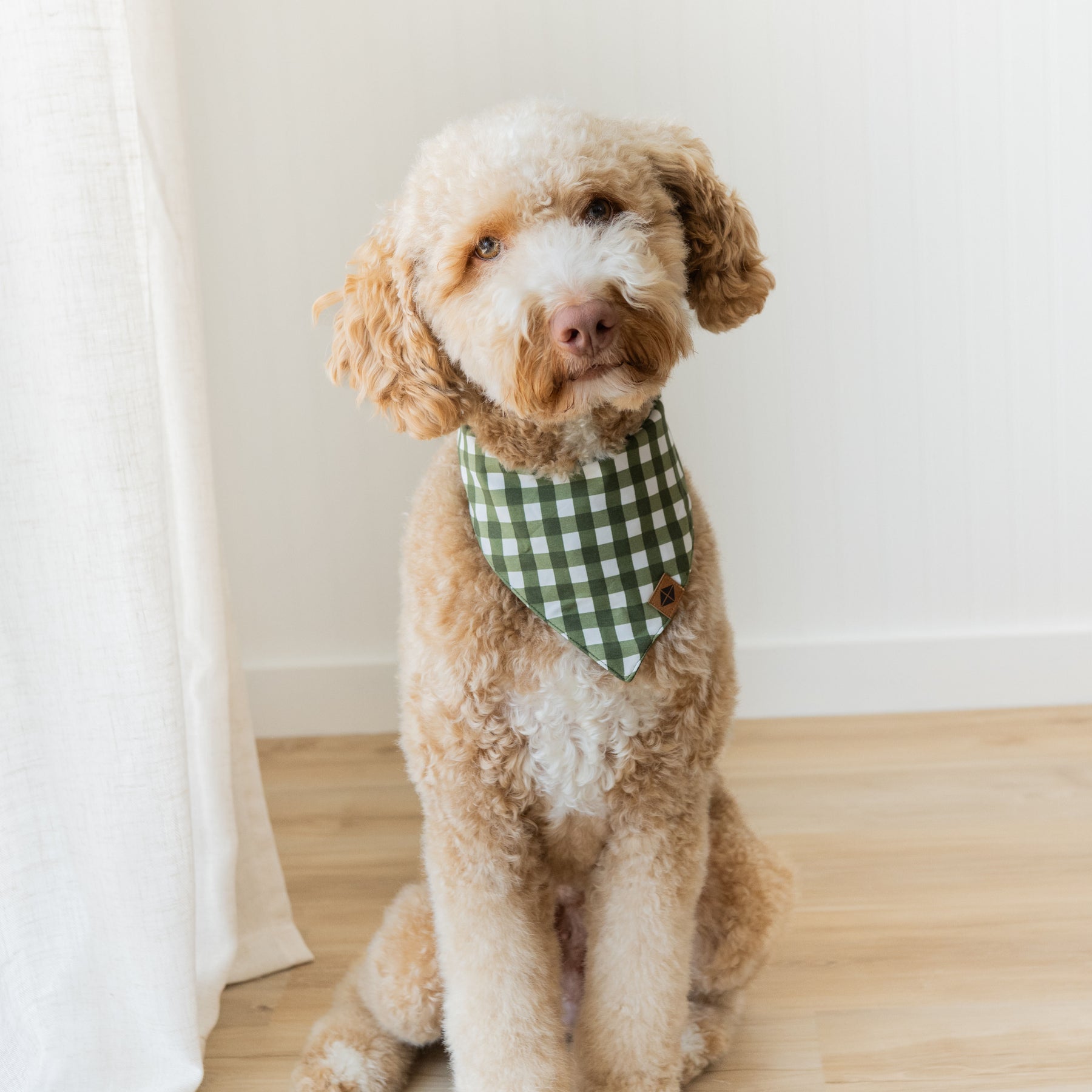 Medium sized dog wearing the Dog Bandana in Gingham Fir