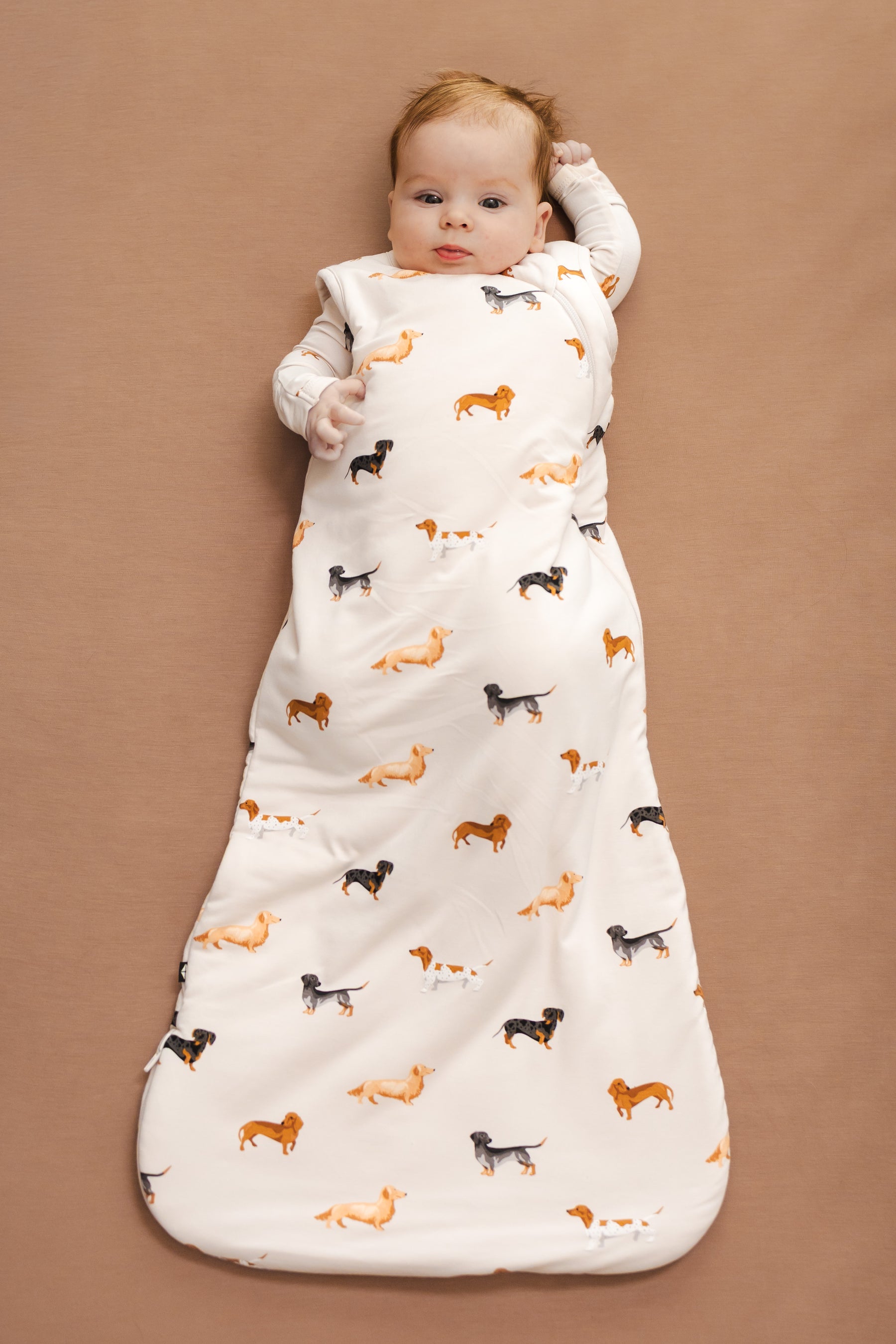 Baby in Beige Sleep Bag with Dachshund print on a brown background