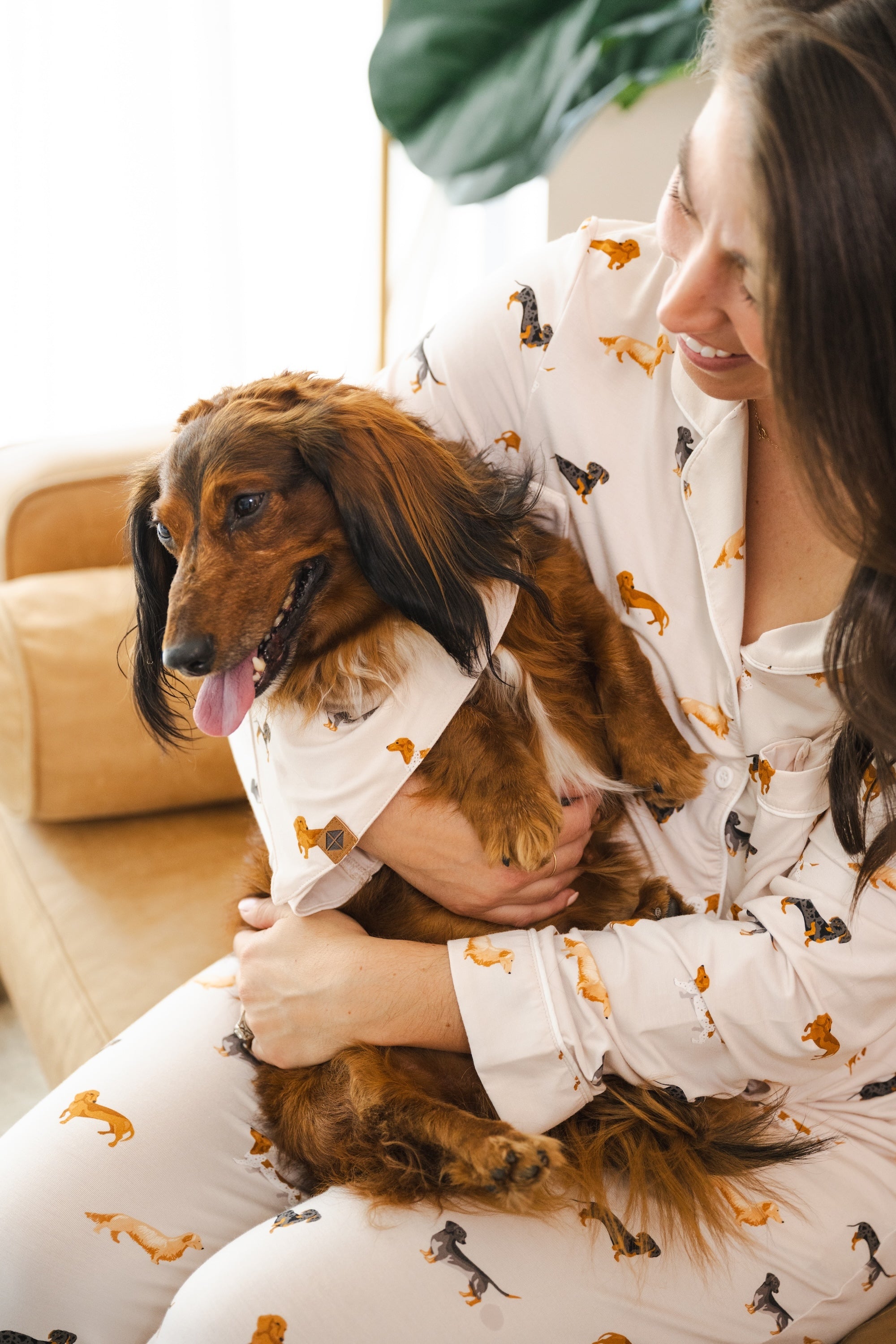 Model  wearing a beige pajamas with Dachshund print sitting in a living room holding a Dachshund dog also wearing a Beige Dog Bandana in Dachshund print 