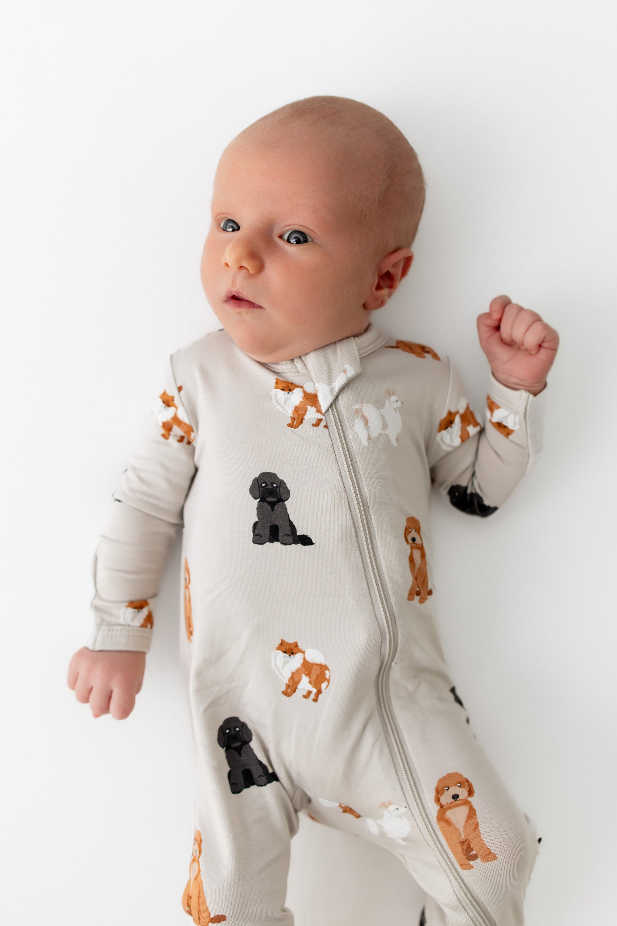 Bamboo Zippered Romper in Fluffy Dog Print | Kyte Baby