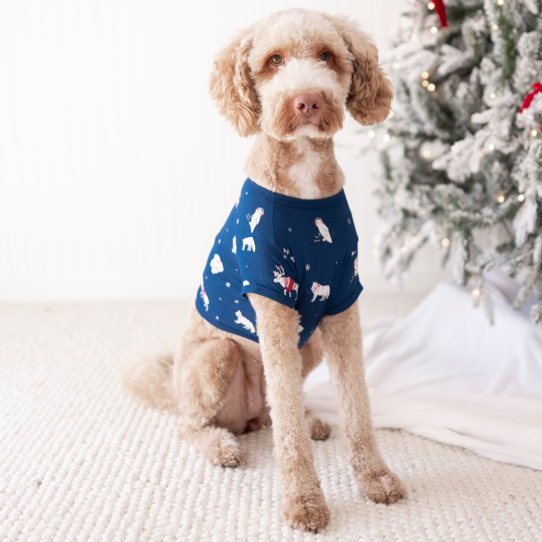 Large sized dog wearing the Dog Tee in Frosty Friends in front of a decorated Christmas Tree