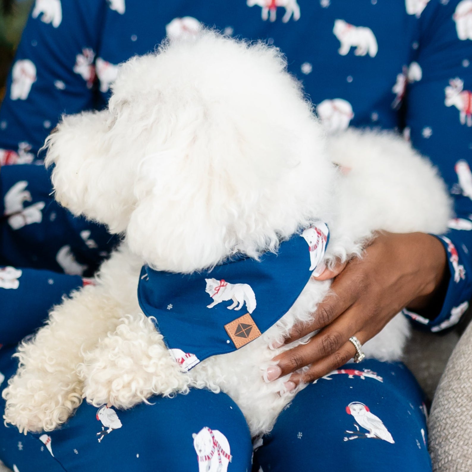 Dog Bandana in Frosty Friends shown on a small white dog sitting on a female models lap