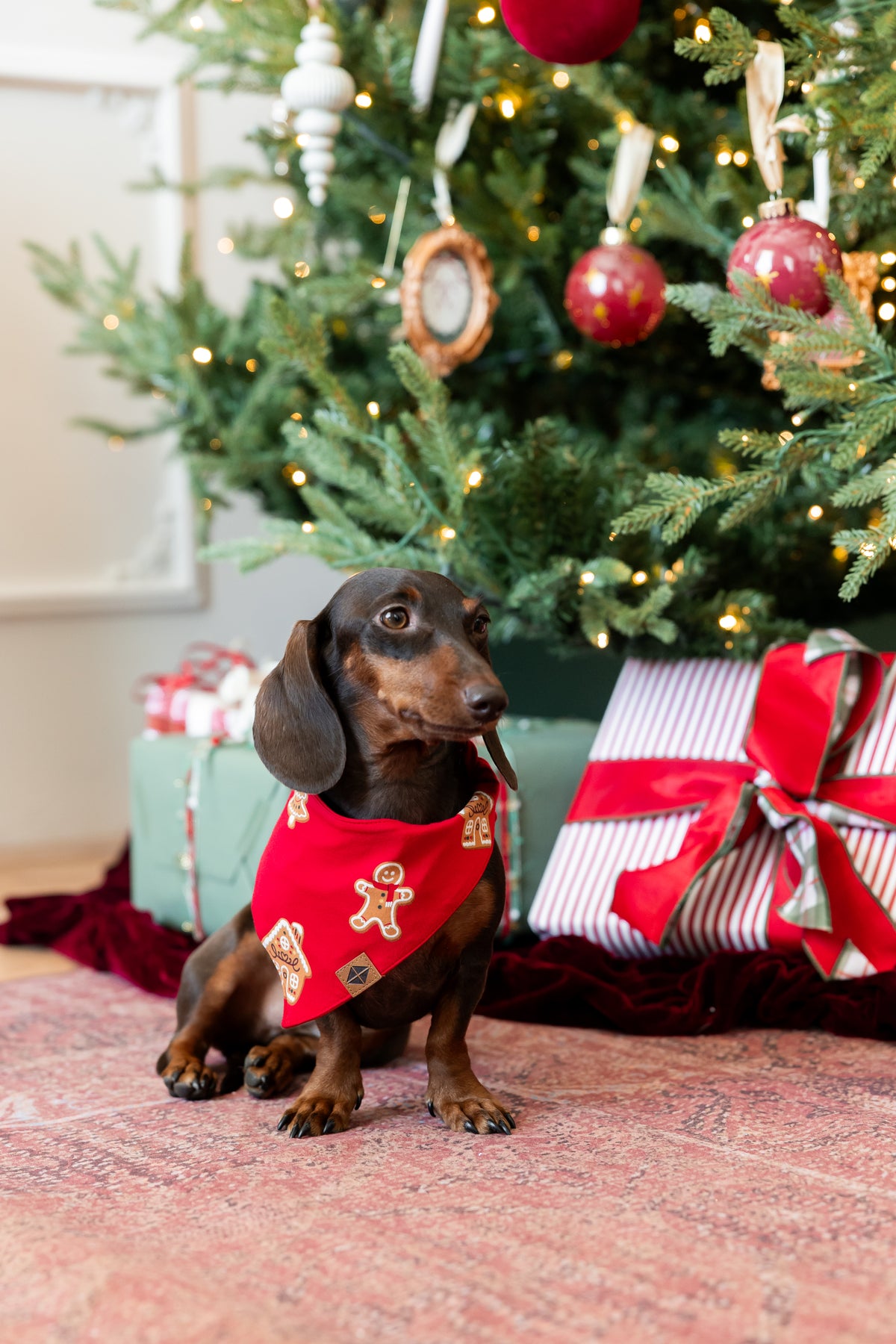 Dog Bandana in Gingerbread
