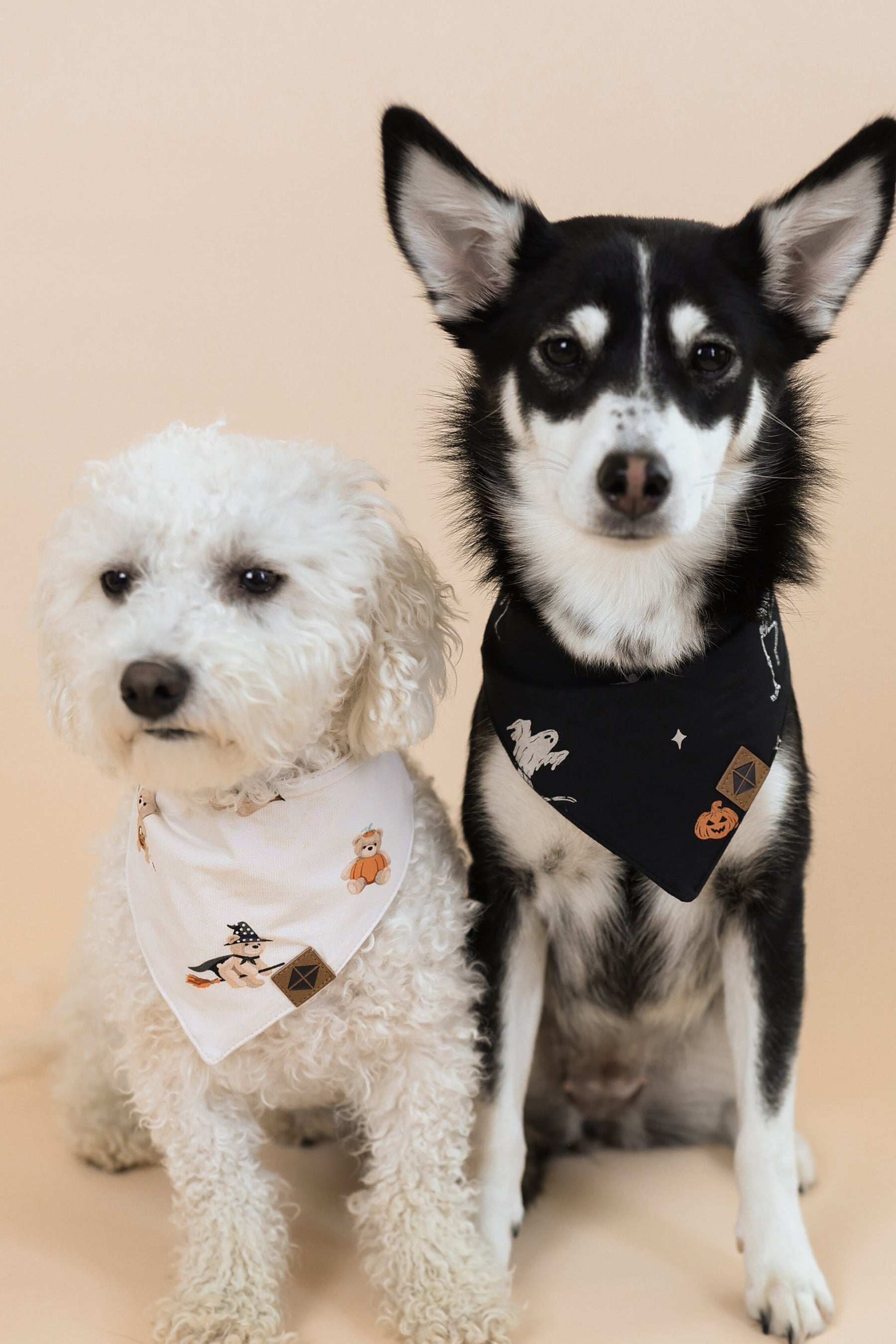 Black and white dog wearing Dog Bandana in Halloween Friends print sitting with a white dog wearing Dog Bandana in Halloween Teddy print on a beige background