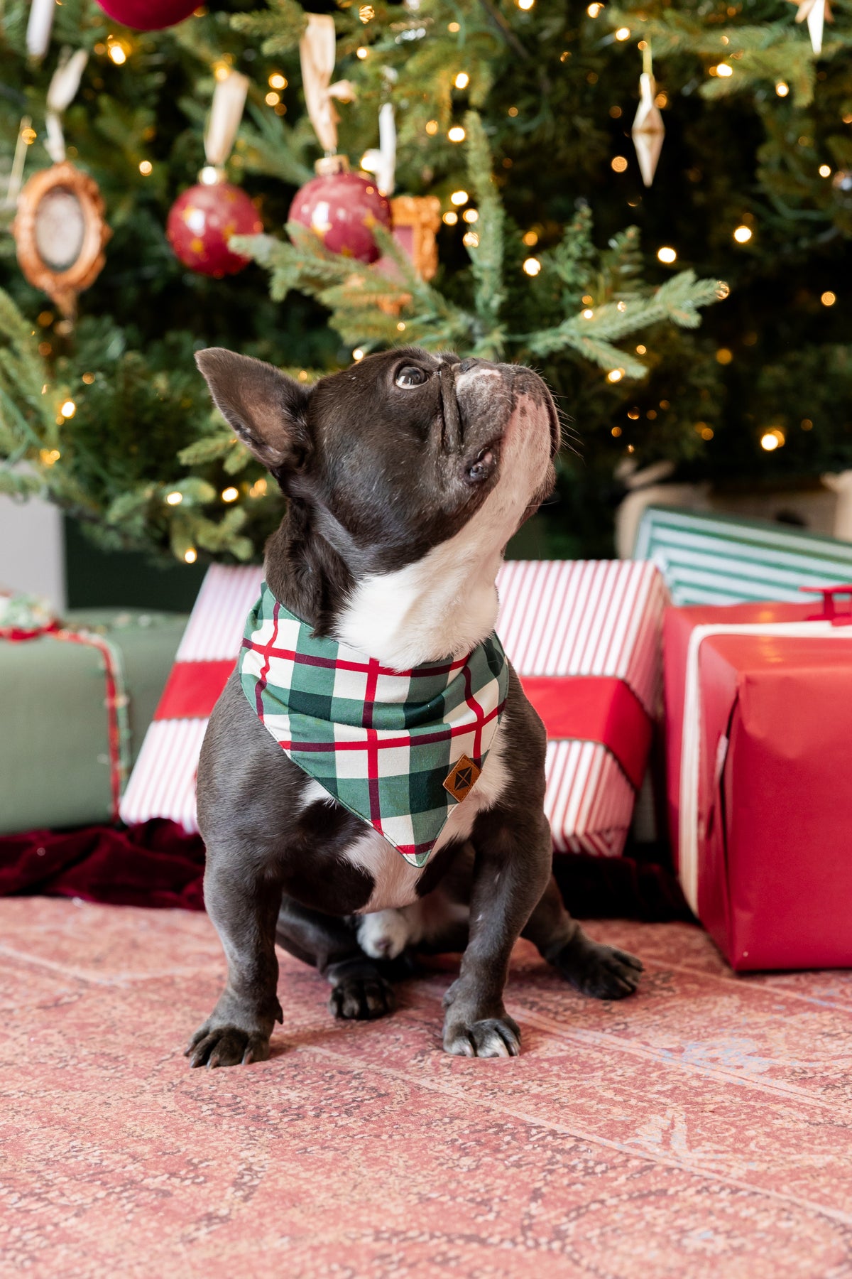 Dog Bandana in Holiday Plaid