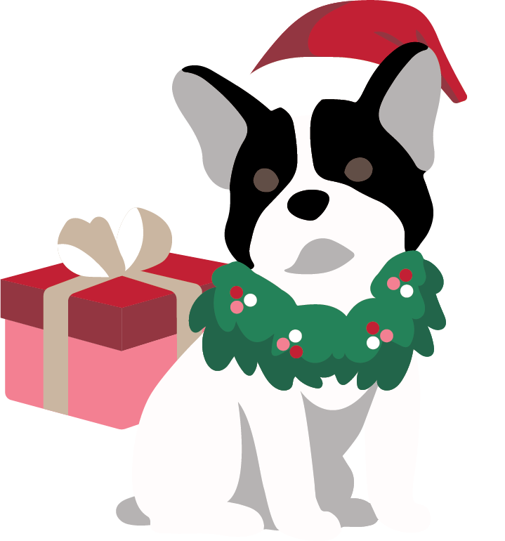 Dog wearing santa hat next to present