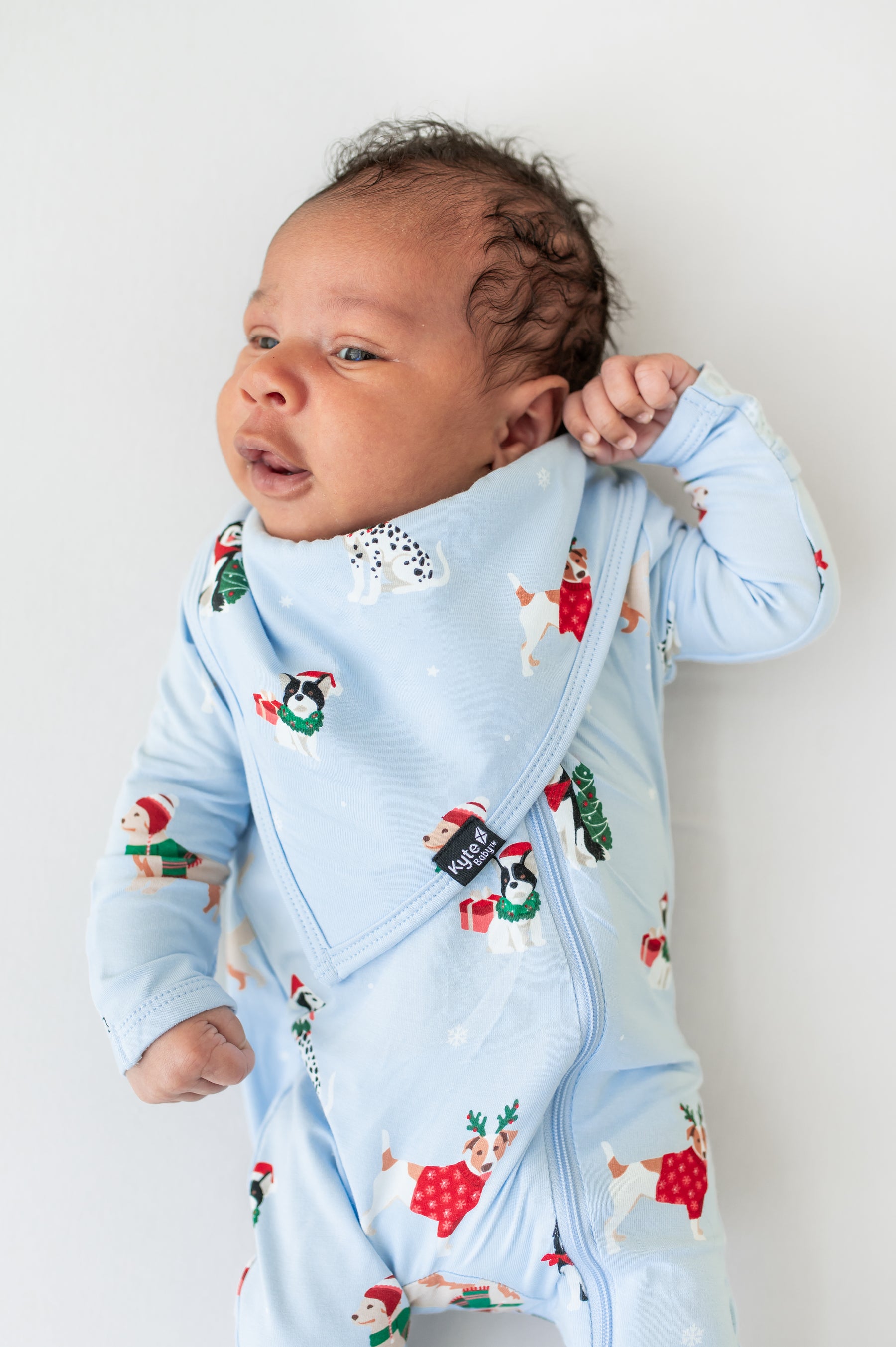 Baby wearing Bib in Holiday Pups print over similar print romper on a beige background