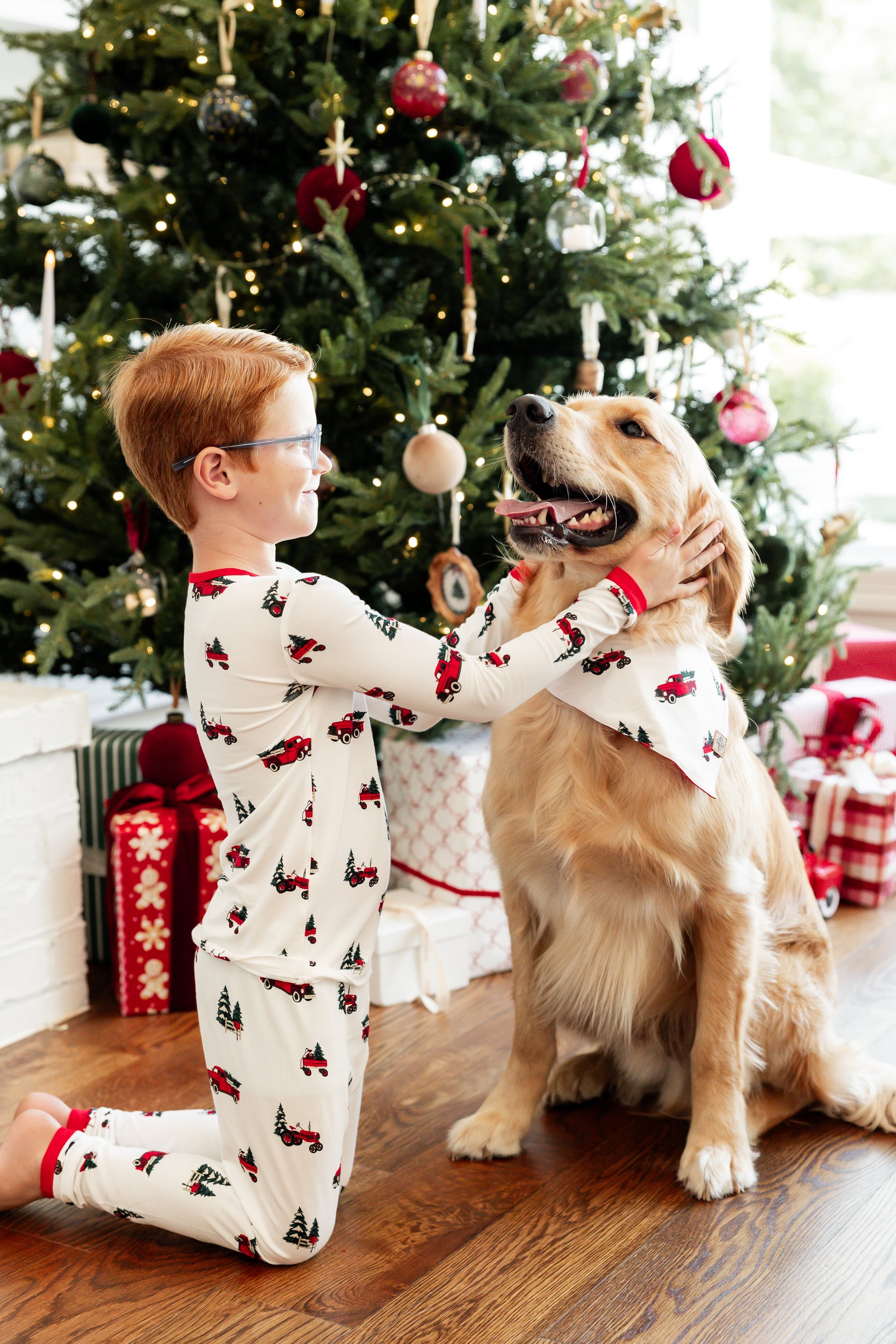 Dog Bandana in Holiday Tree Farm