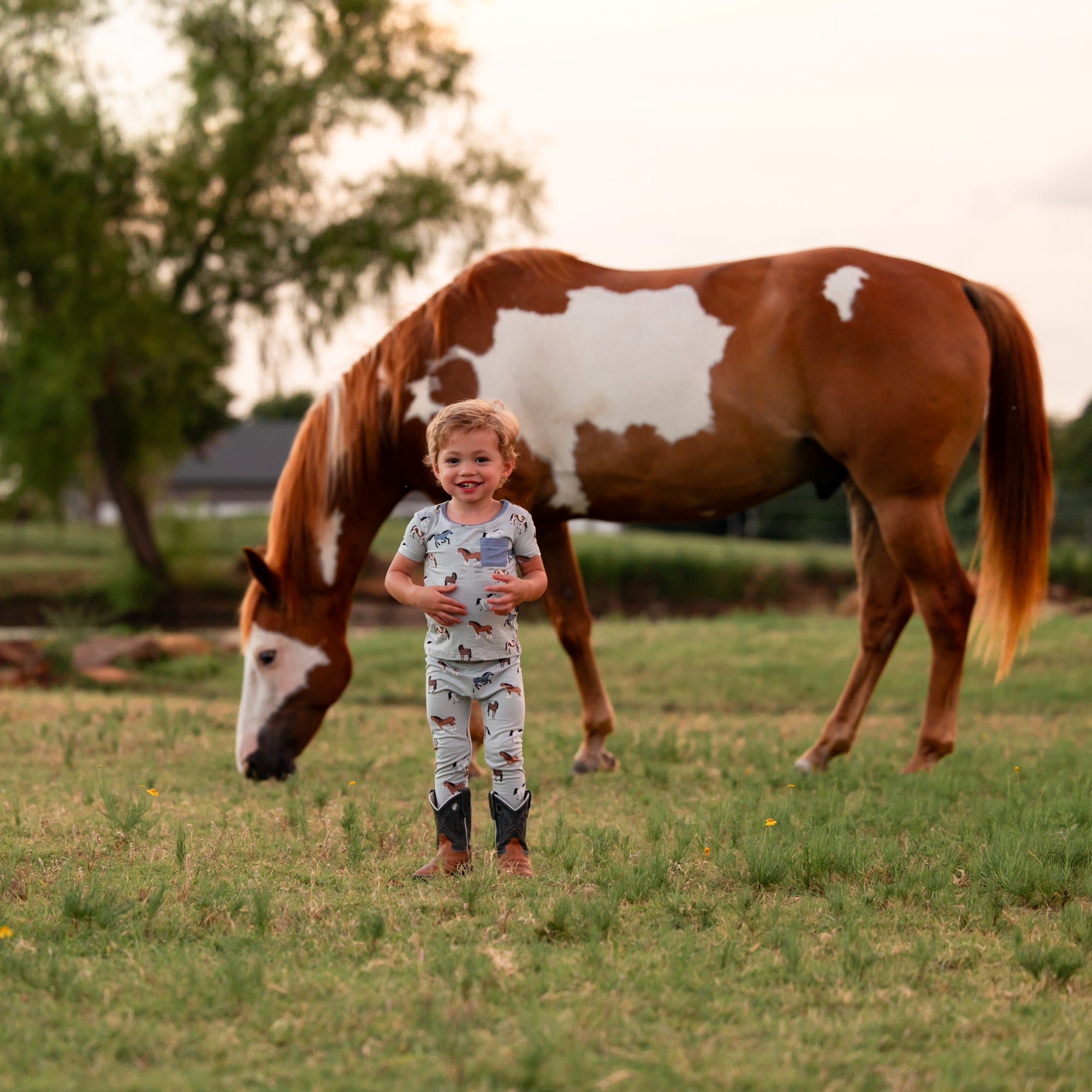 Short Sleeve with Pants Pajamas in Horse