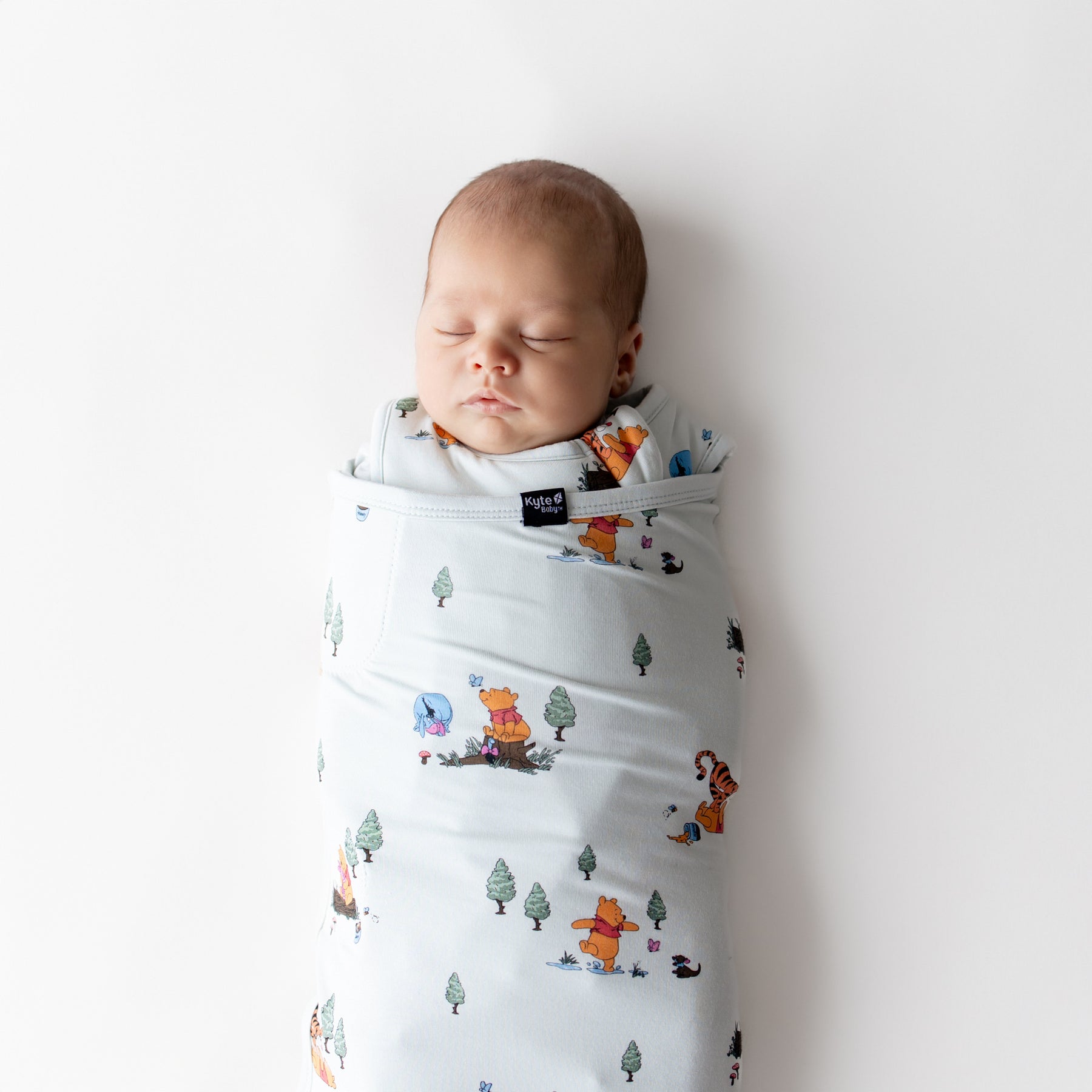 Close up of sleeping newborn swaddled in the Sleep Bag Swaddler in Winnie the Pooh Hundred Acre Wood 1.0