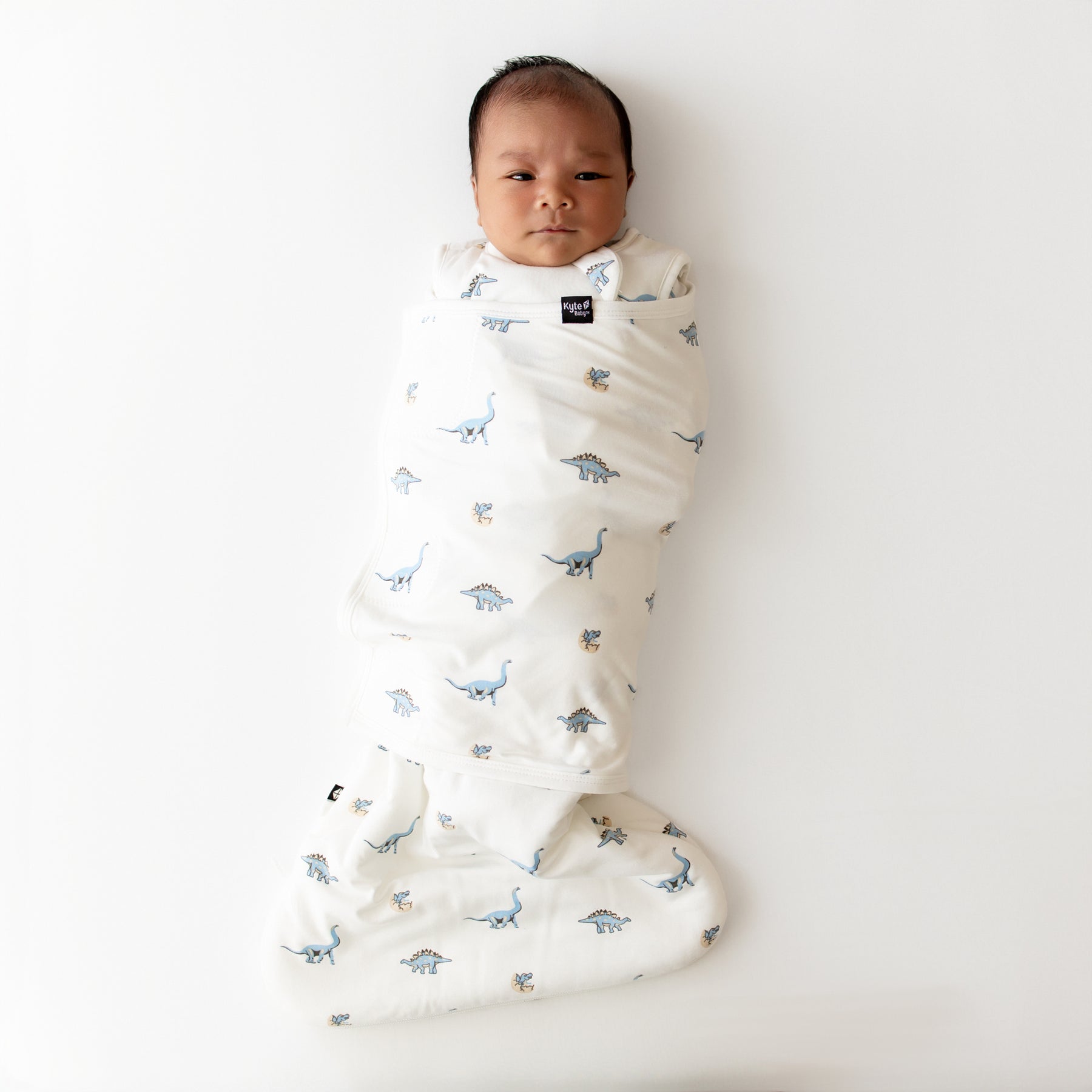 Newborn baby swaddled in a white swaddler with blue dinosaur pattern on a white background