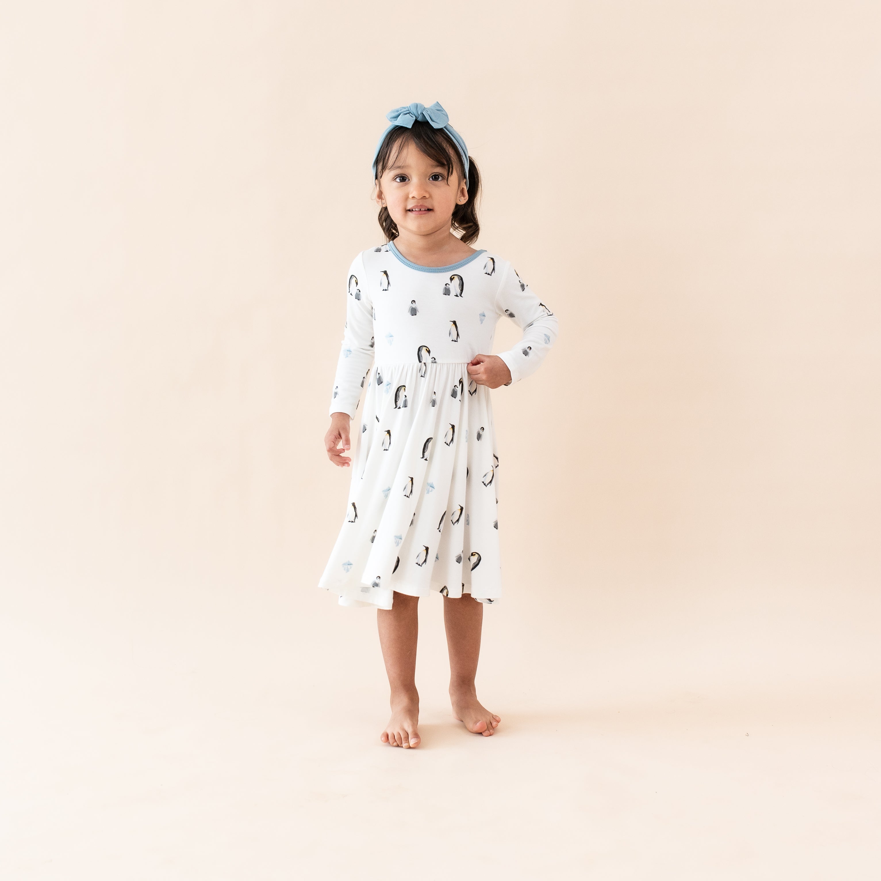 Long Sleeve Twirl Dress in Penguin