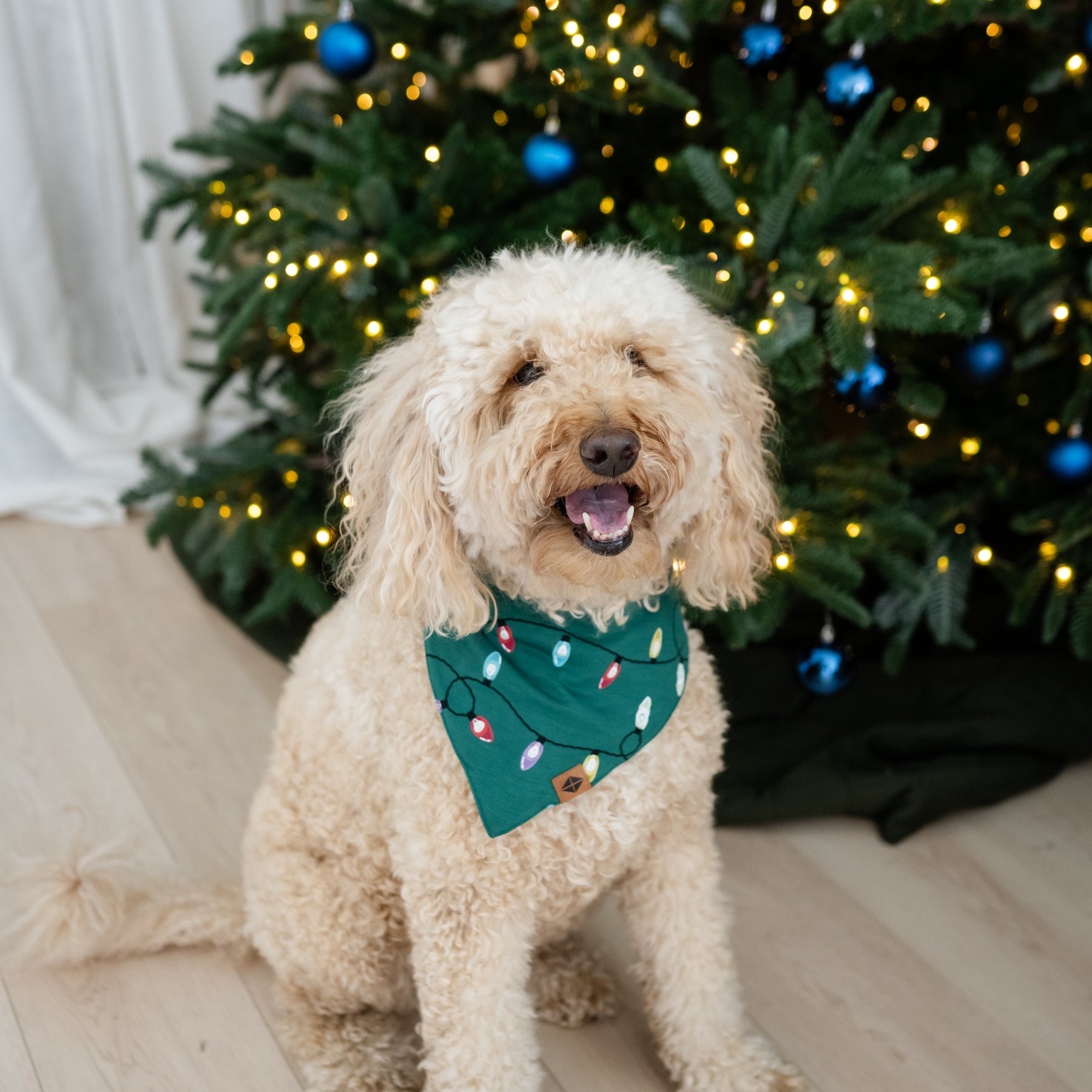 Medium sized dog wearing the Dog Bandana in Merry and Bright standing in front of a decorated Christmas tree