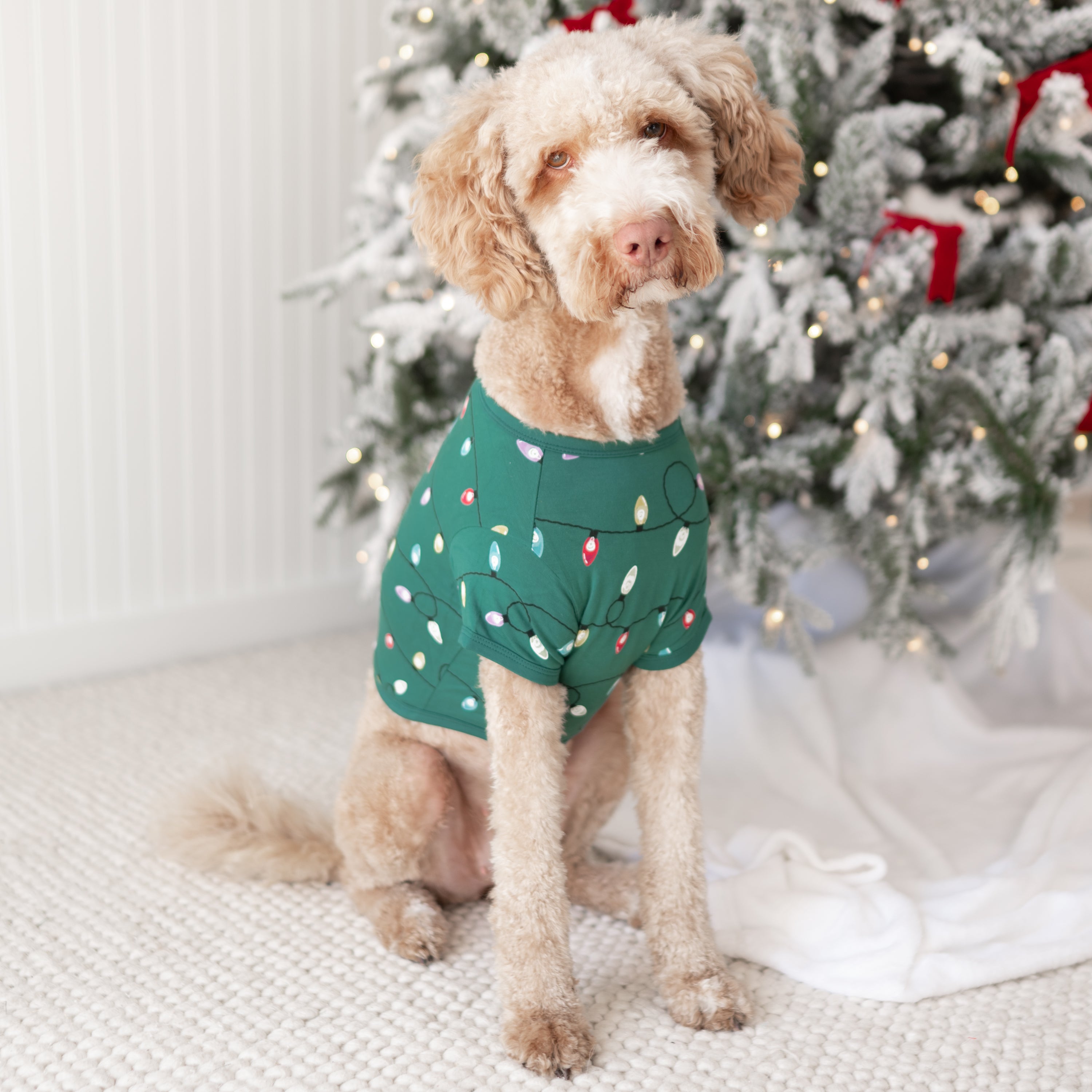 Large dog wearing the Dog Tee in Merry and Bright standing on a cream carpet in front of a decorated Christmas Tree