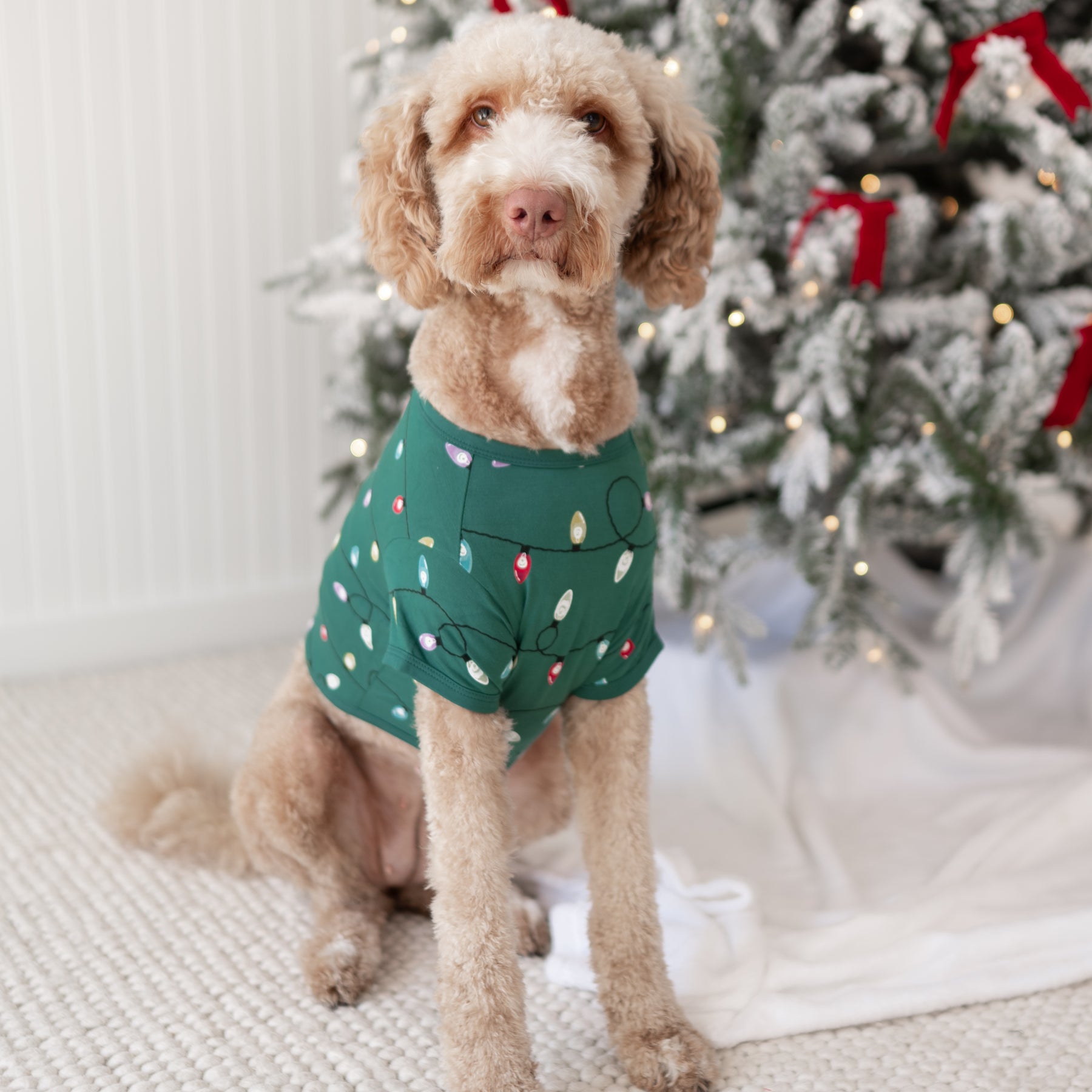 Large dog wearing the Dog Tee in Merry and Bright standing beside a decorated Christmas tree