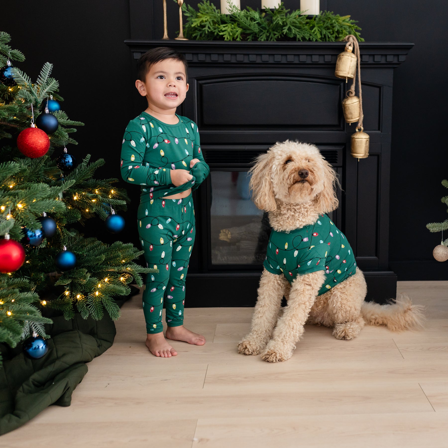 Toddler wearing the Long Sleeve Pajamas in Merry and Bright standing beside a medium sized dog matching in a dog tee