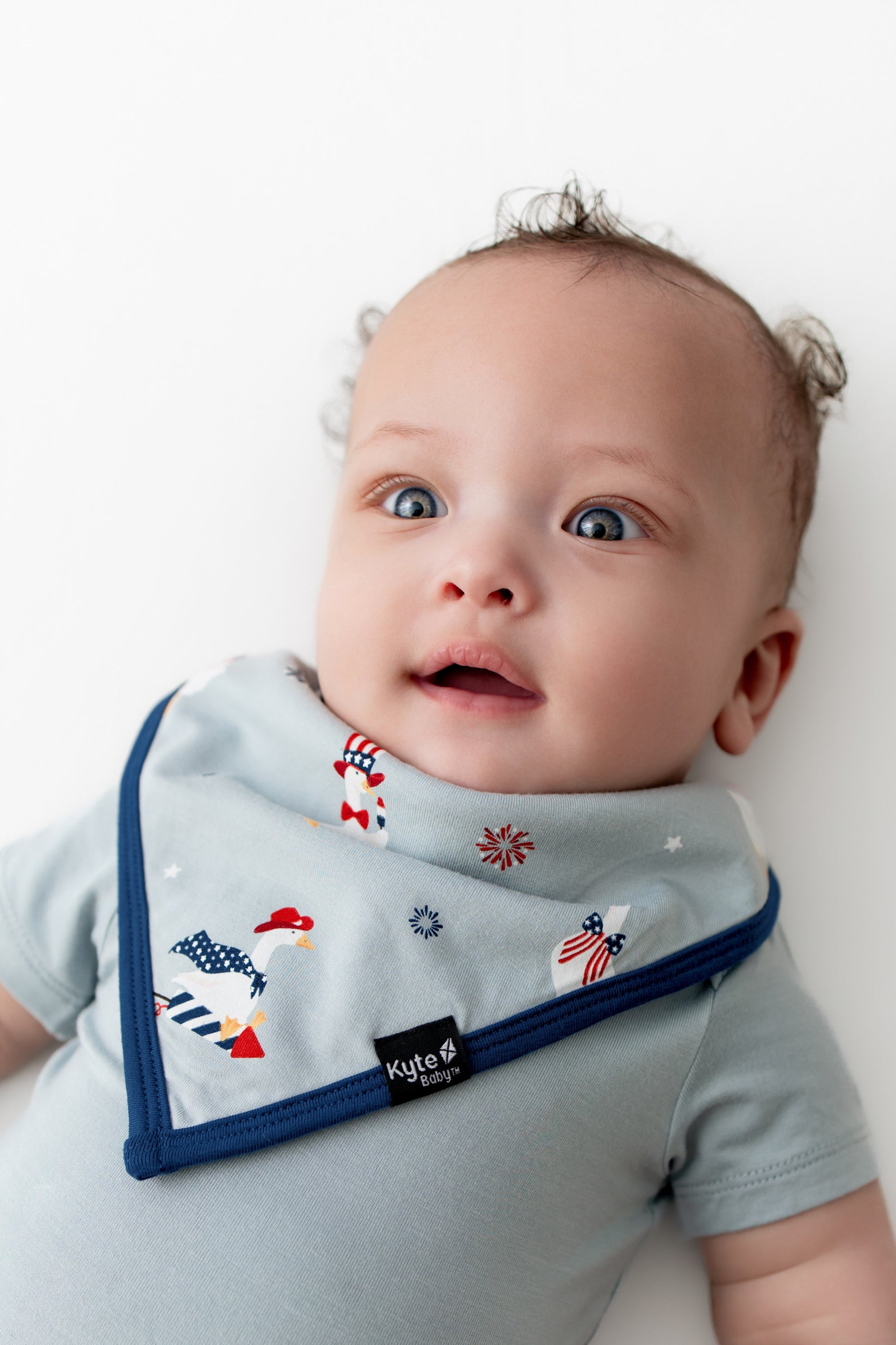 Baby wearing a Patriotic Goose print bib with navy trim over a light blue bodysuit on a white background