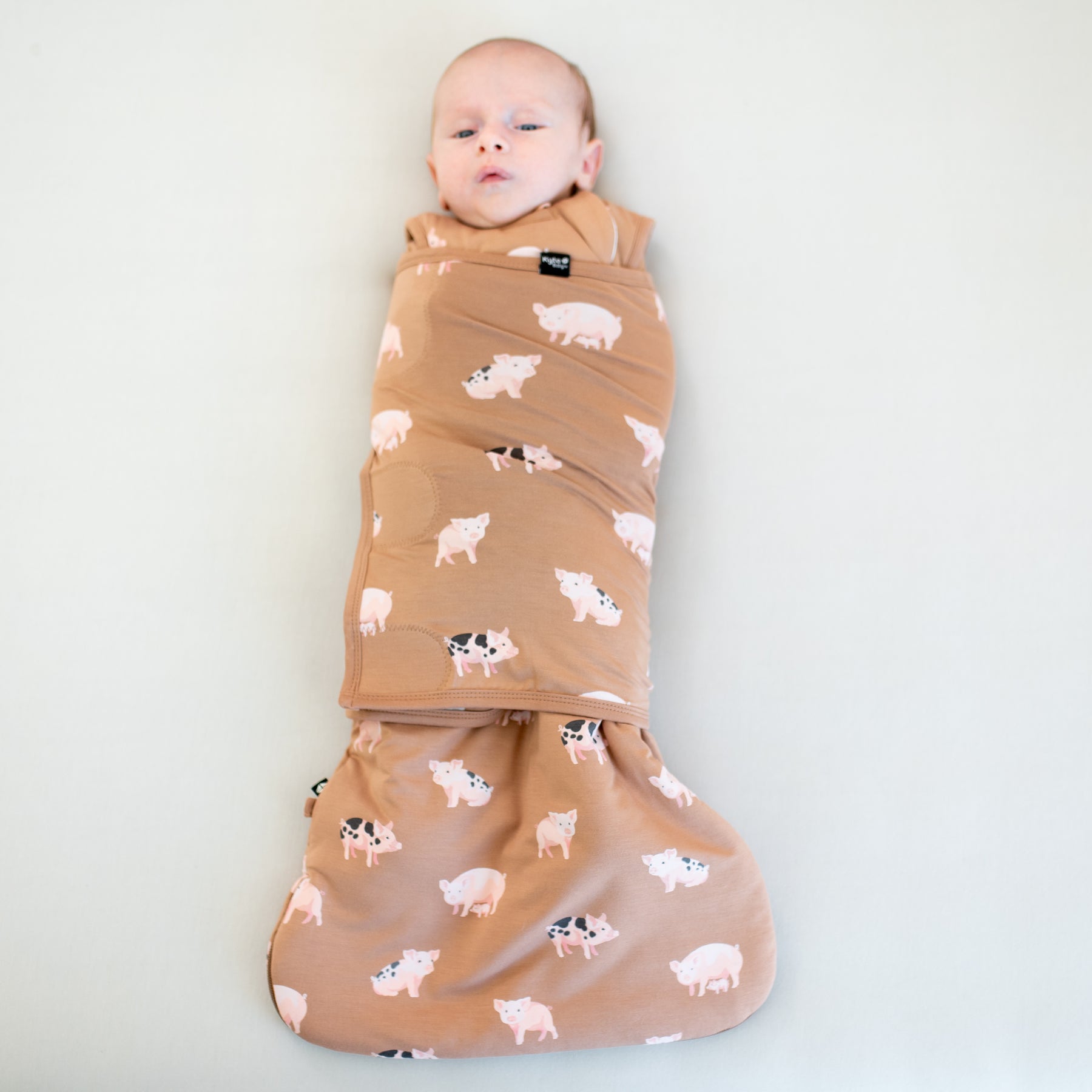 Infant laying down swaddled in the Sleep Bag Swaddler in Pig 1.0