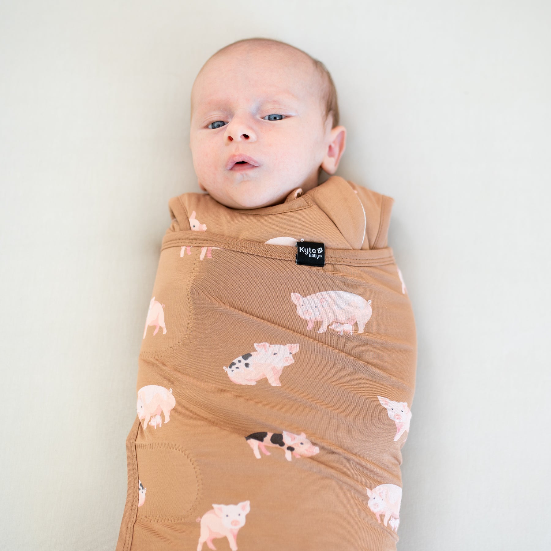 Close up of the Sleep Bag Swaddler in Pig 1.0 shown swaddled