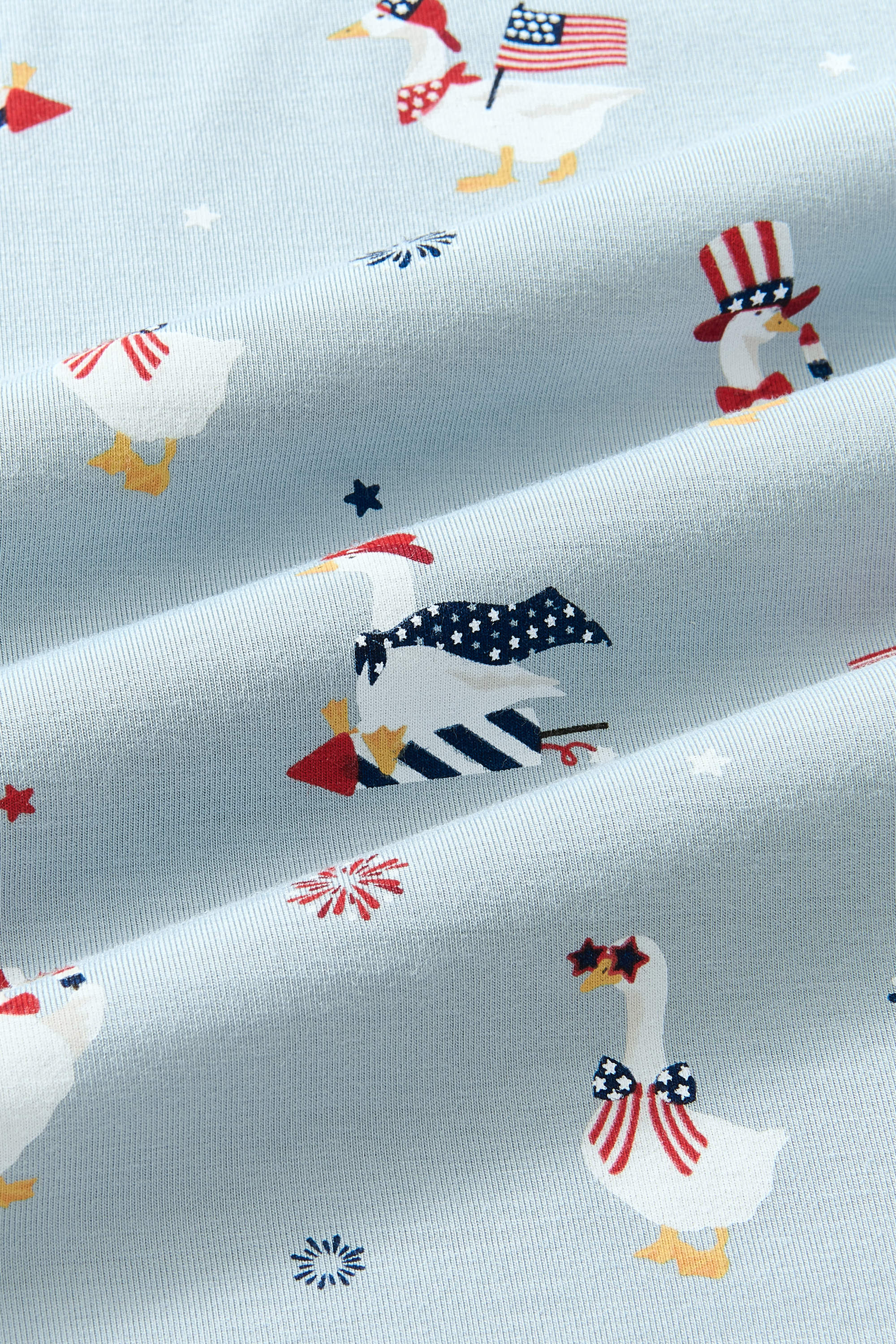 Close up of Patriotic Goose print on light blue fabric