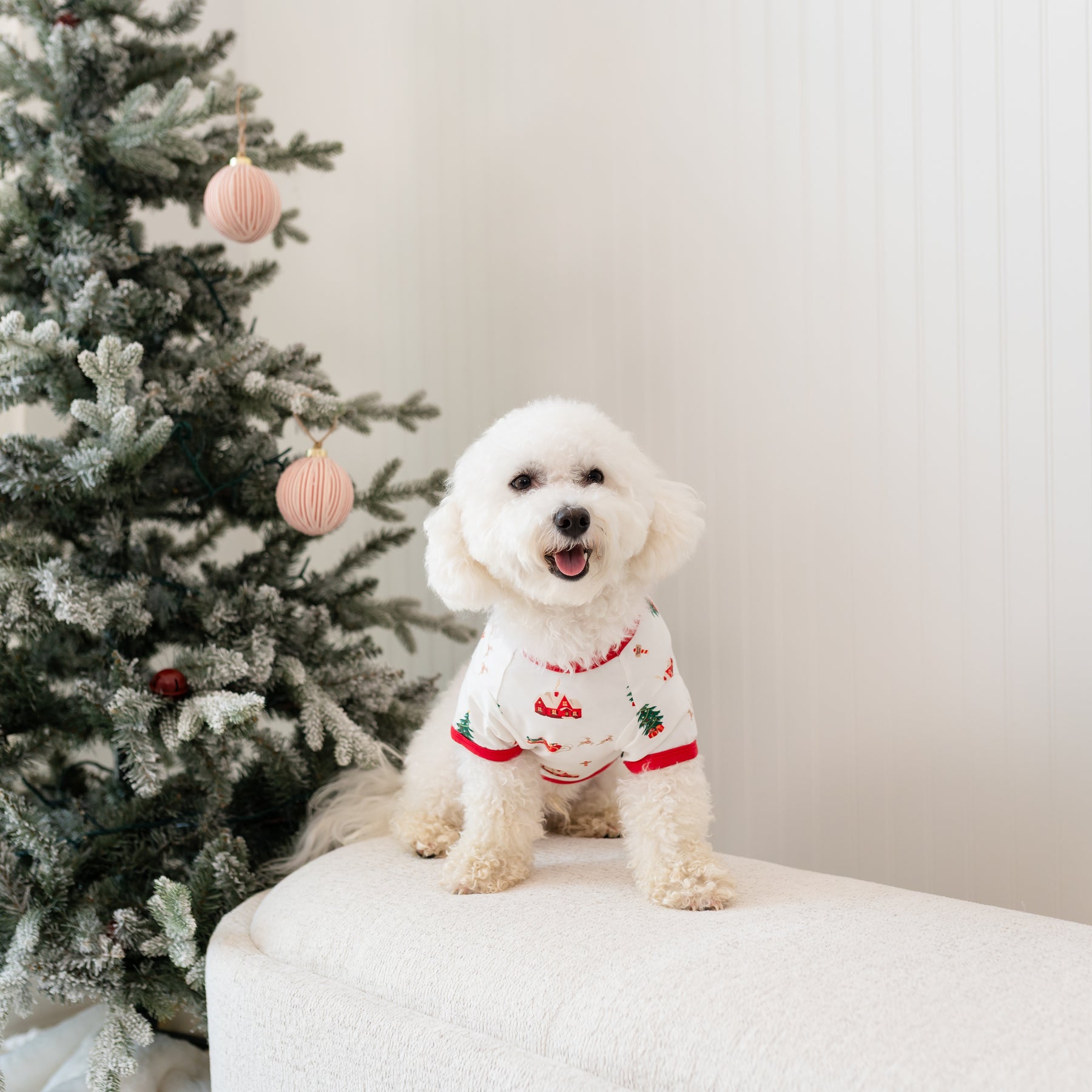 A white dog sitting on a cream colored couch wearing the Dog Tee in Santa Sleigh