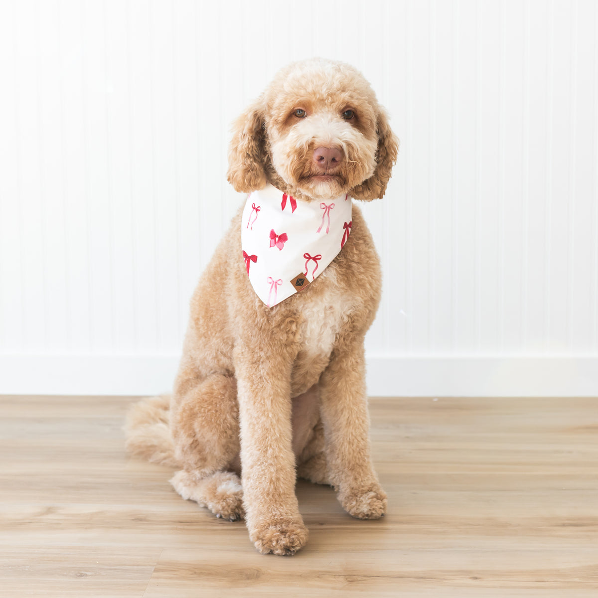 Medium sized dog sitting in front of a white paneled wall wearing the Dog Bandana in Small Love Bow