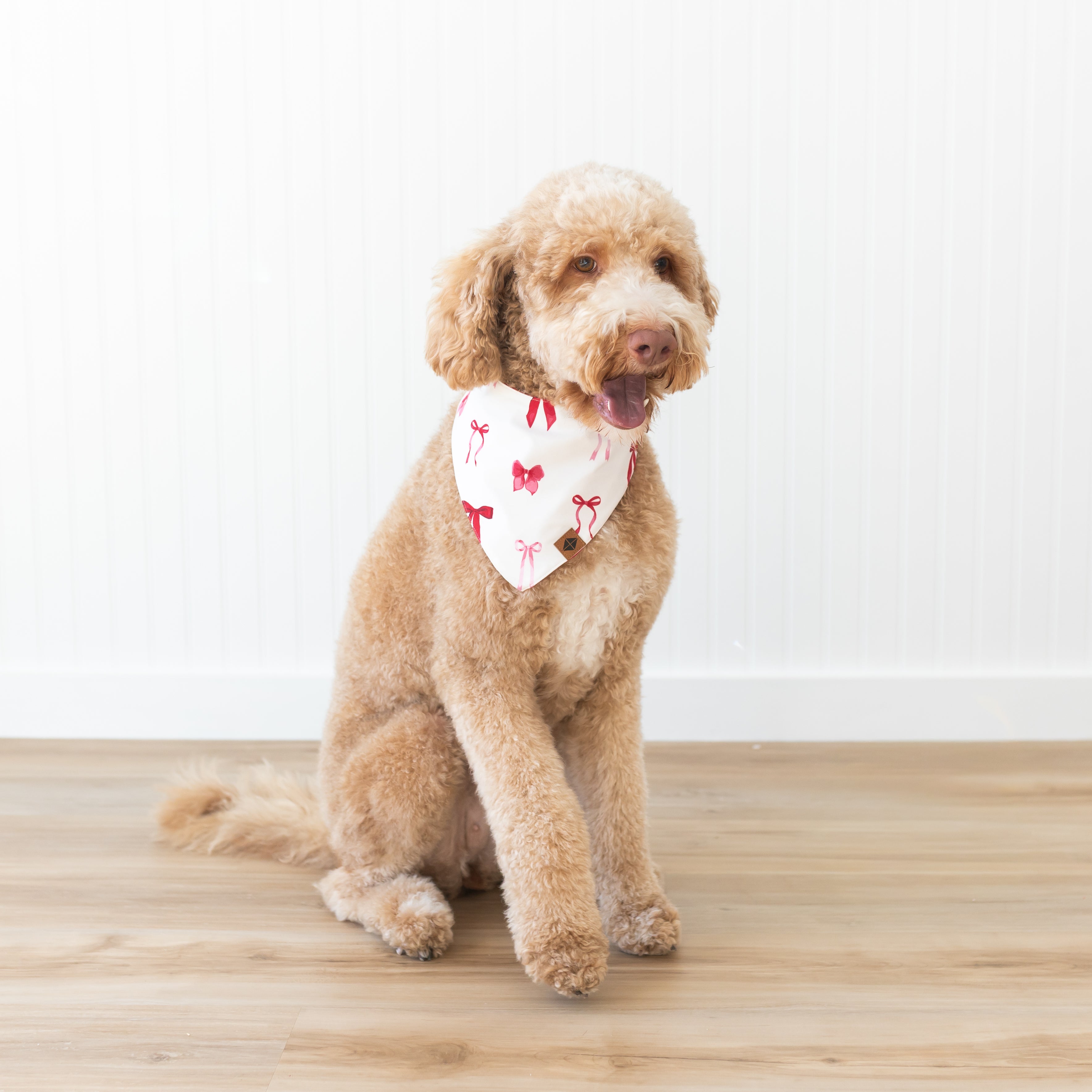 Medium sized dog wearing the Dog Bandana in Small Love Bow sitting on a wood floor in front of a white paneled wall
