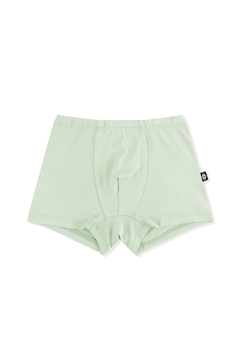 Product photo of the Briefs in Basil