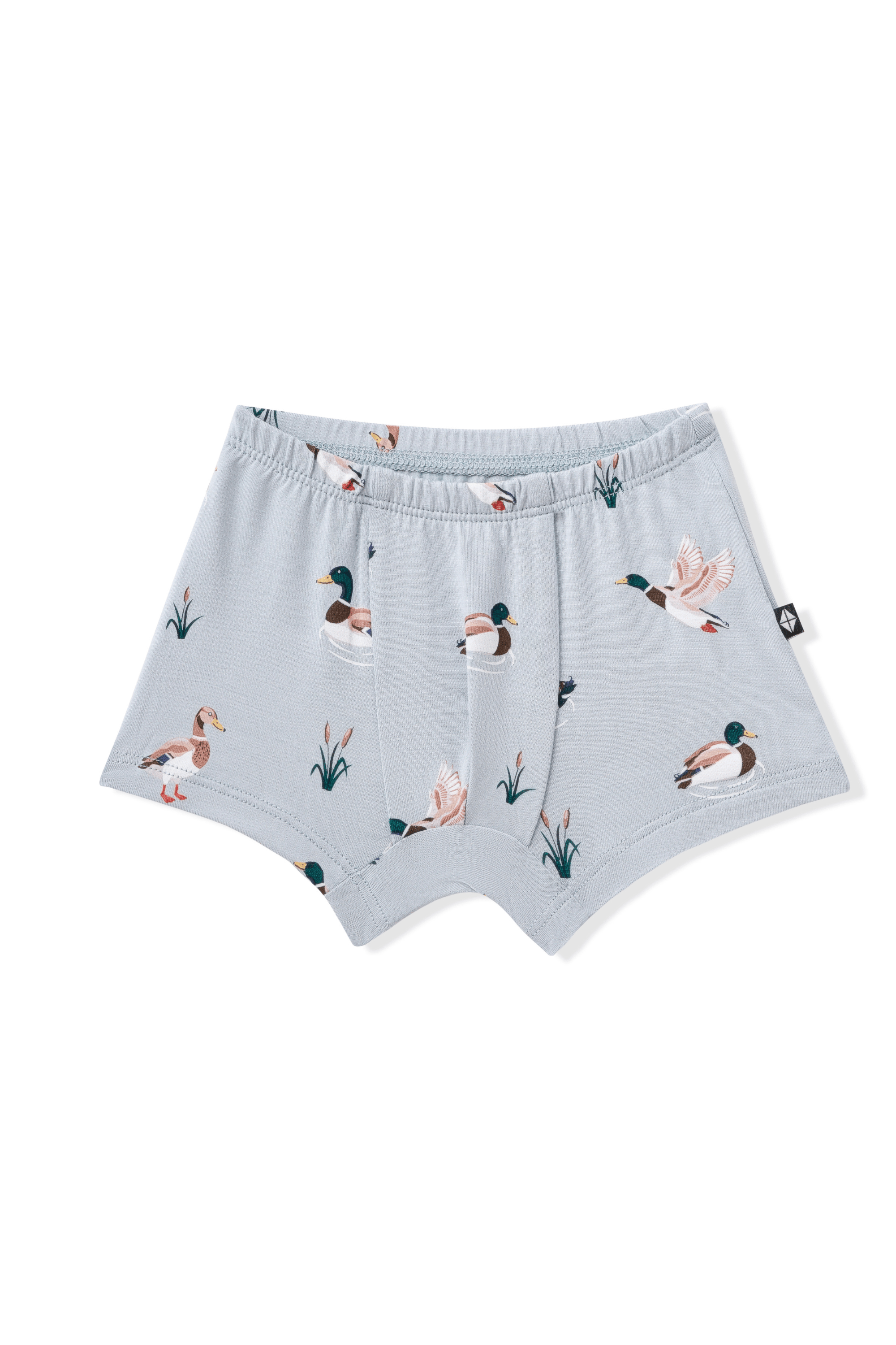 Product photo of the Briefs in Mallard Duck