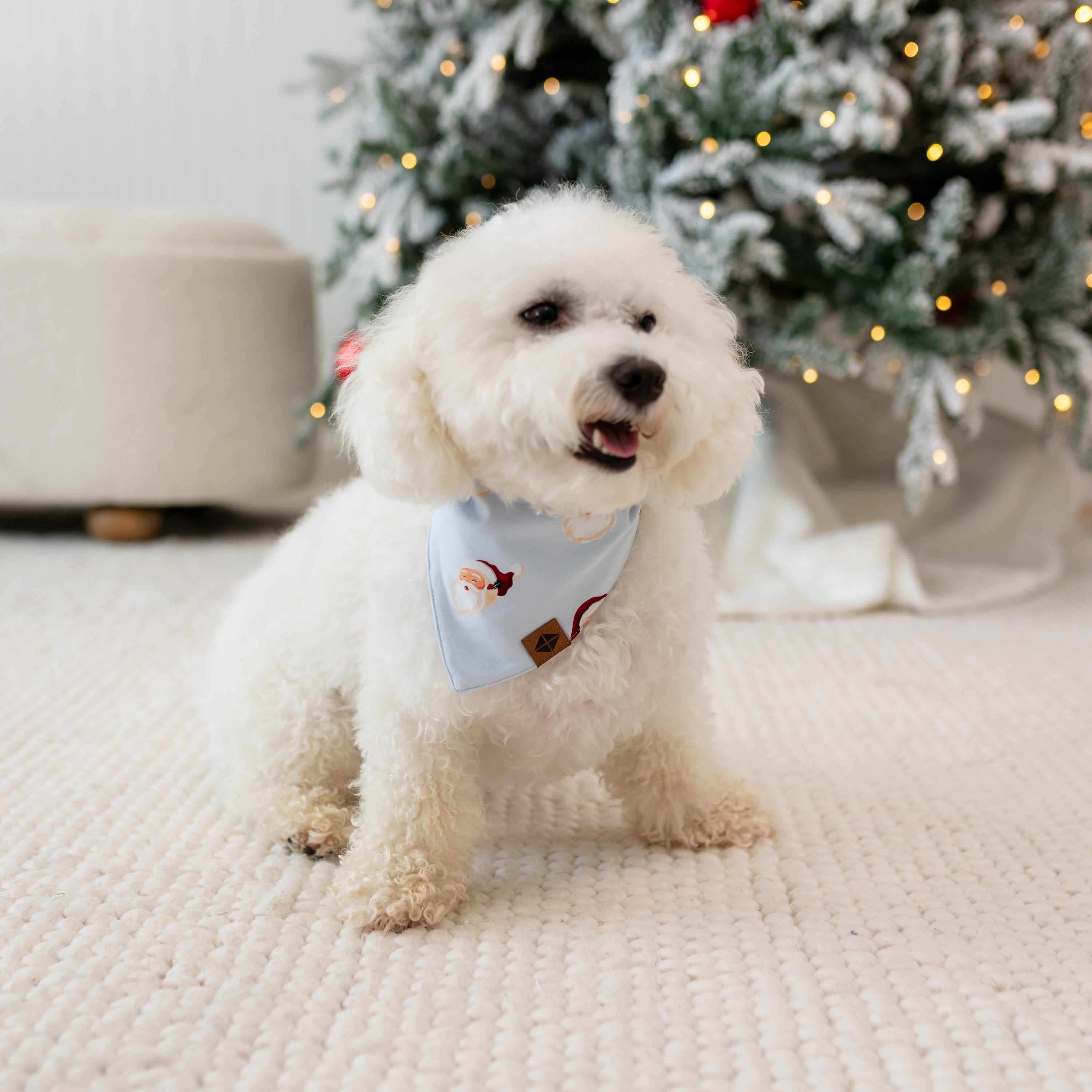 Small white dog standing on a cream carpet in front of a lit and frosted tree wearing the Dog Bandana in Vintage Santa