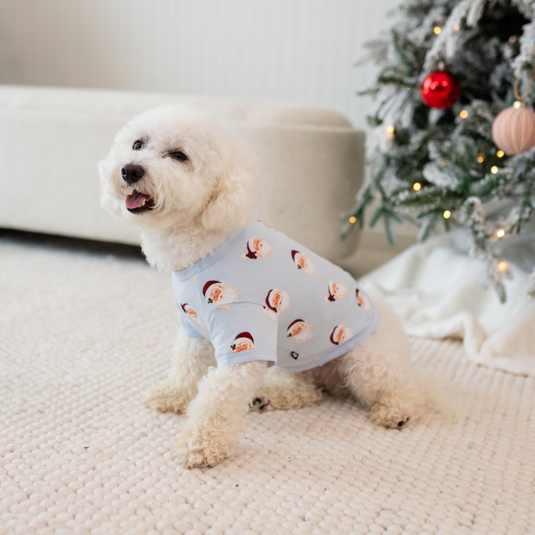 Small white dog sitting on a cream carpet wearing the Dog Tee in Vintage Santa in front of a decorated christmas tree