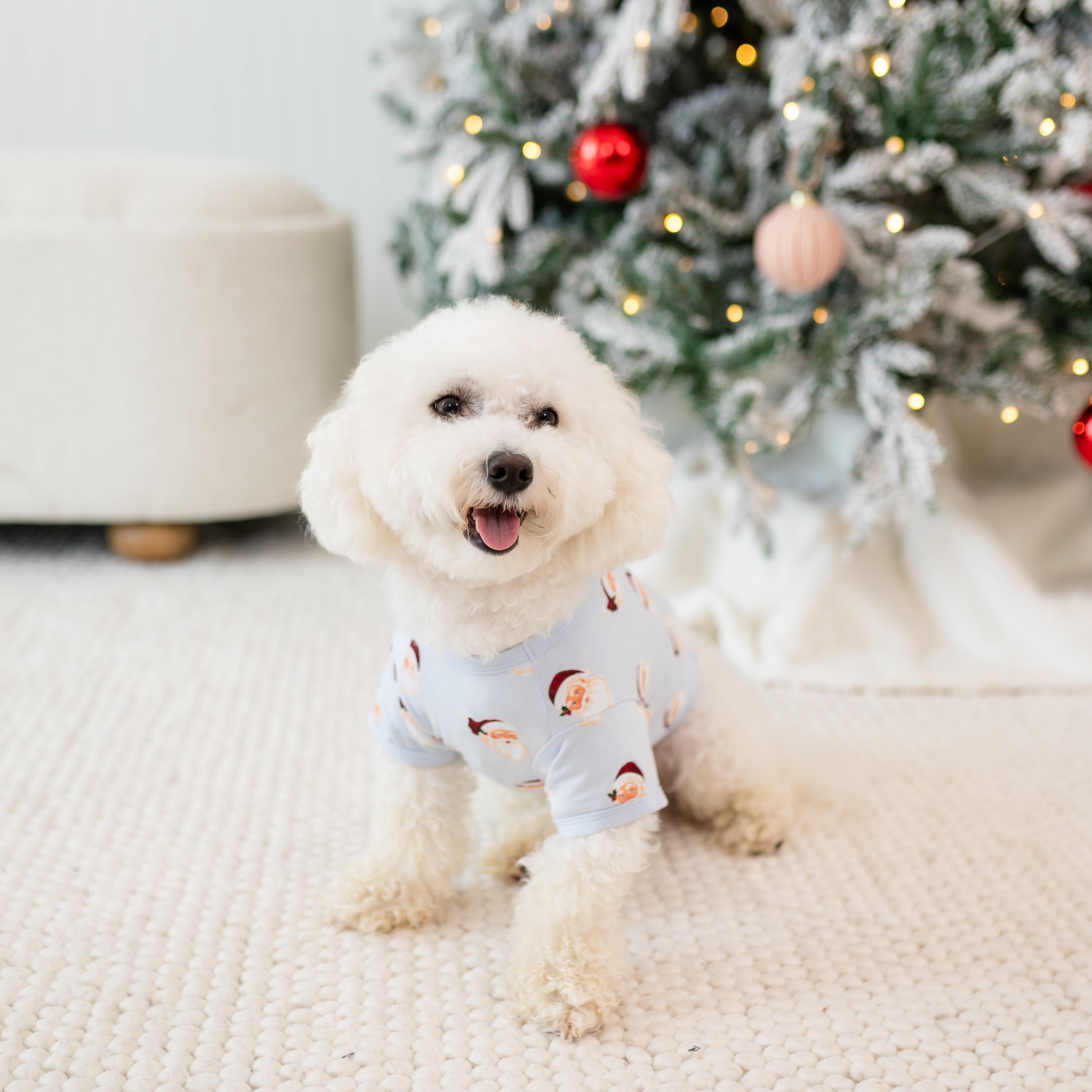 Small white dog sitting on a cream carpet wearing the Dog Tee in Vintage Santa