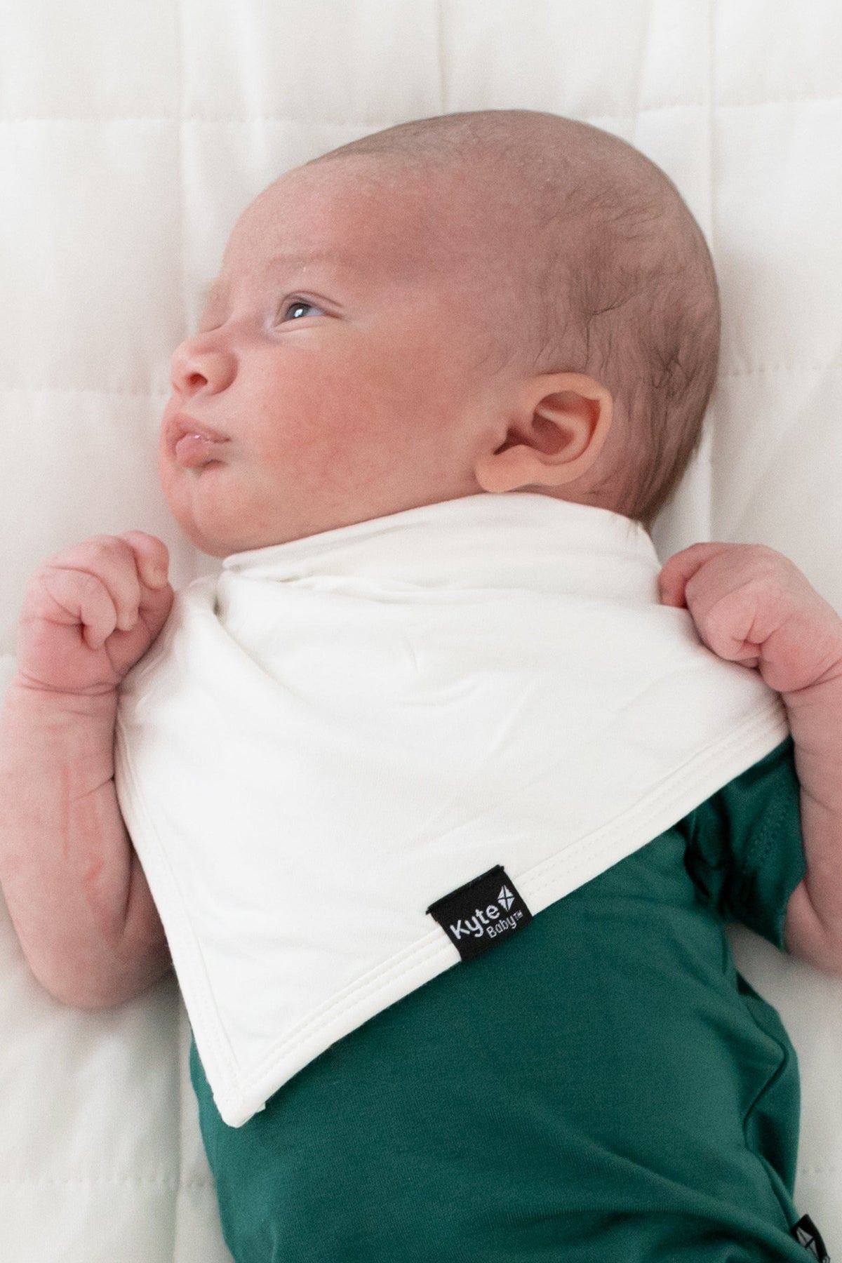 Bib Cloud