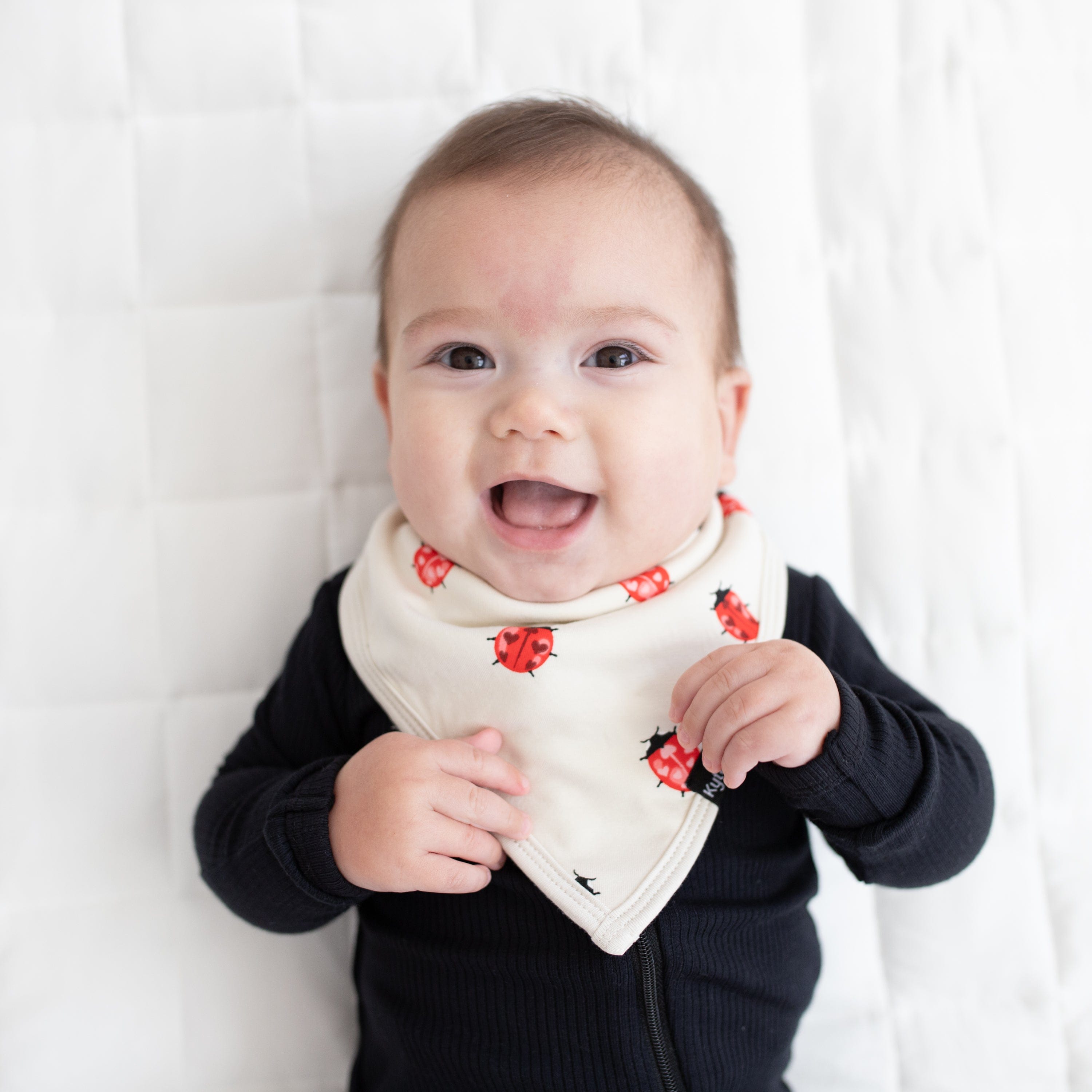 Kyte Baby Bib Love Bug Bib in Love Bug