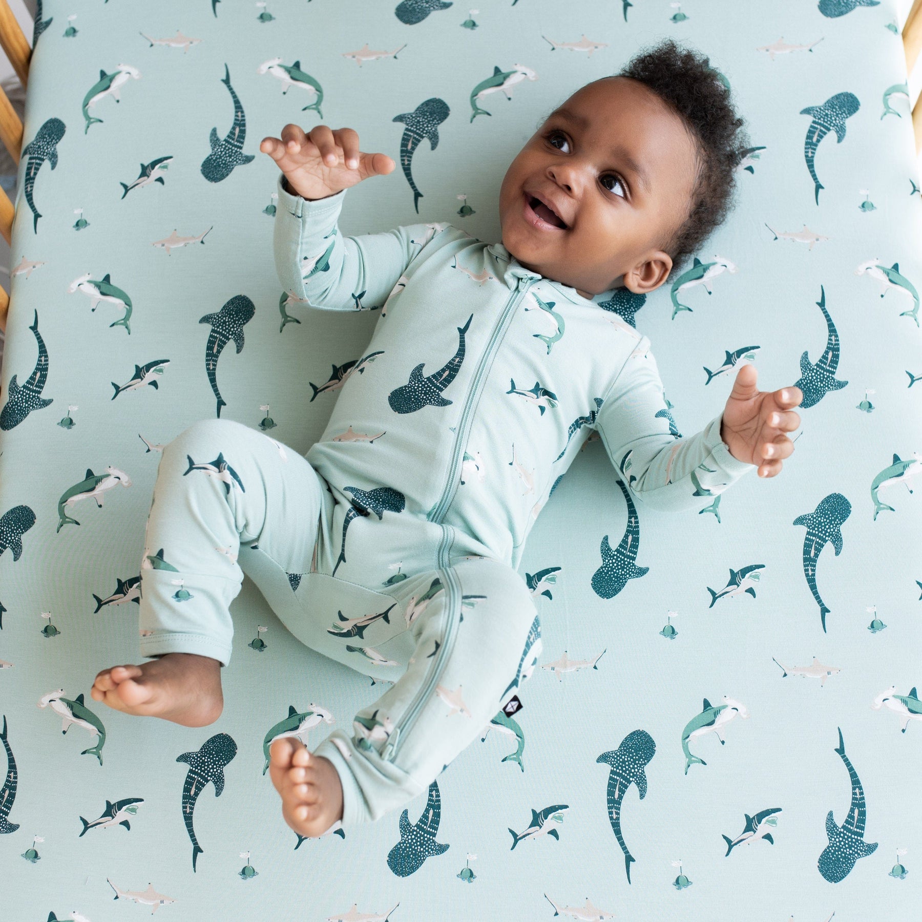 Kyte Baby Crib Sheet Sage Shark / Crib Sheet Crib Sheet in Sage Shark