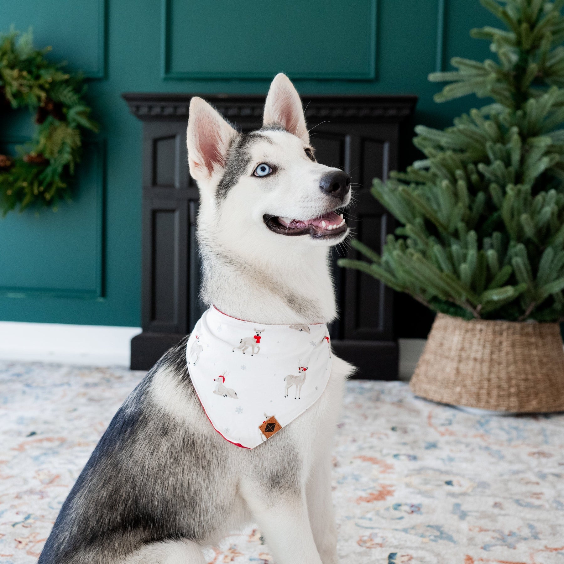 Kyte Baby Dog Bandana Dog Bandana in Cloud Deer