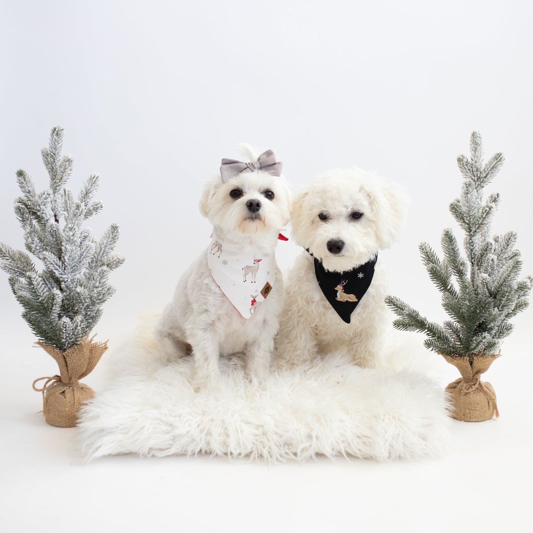 Kyte Baby Dog Bandana Dog Bandana in Cloud Deer