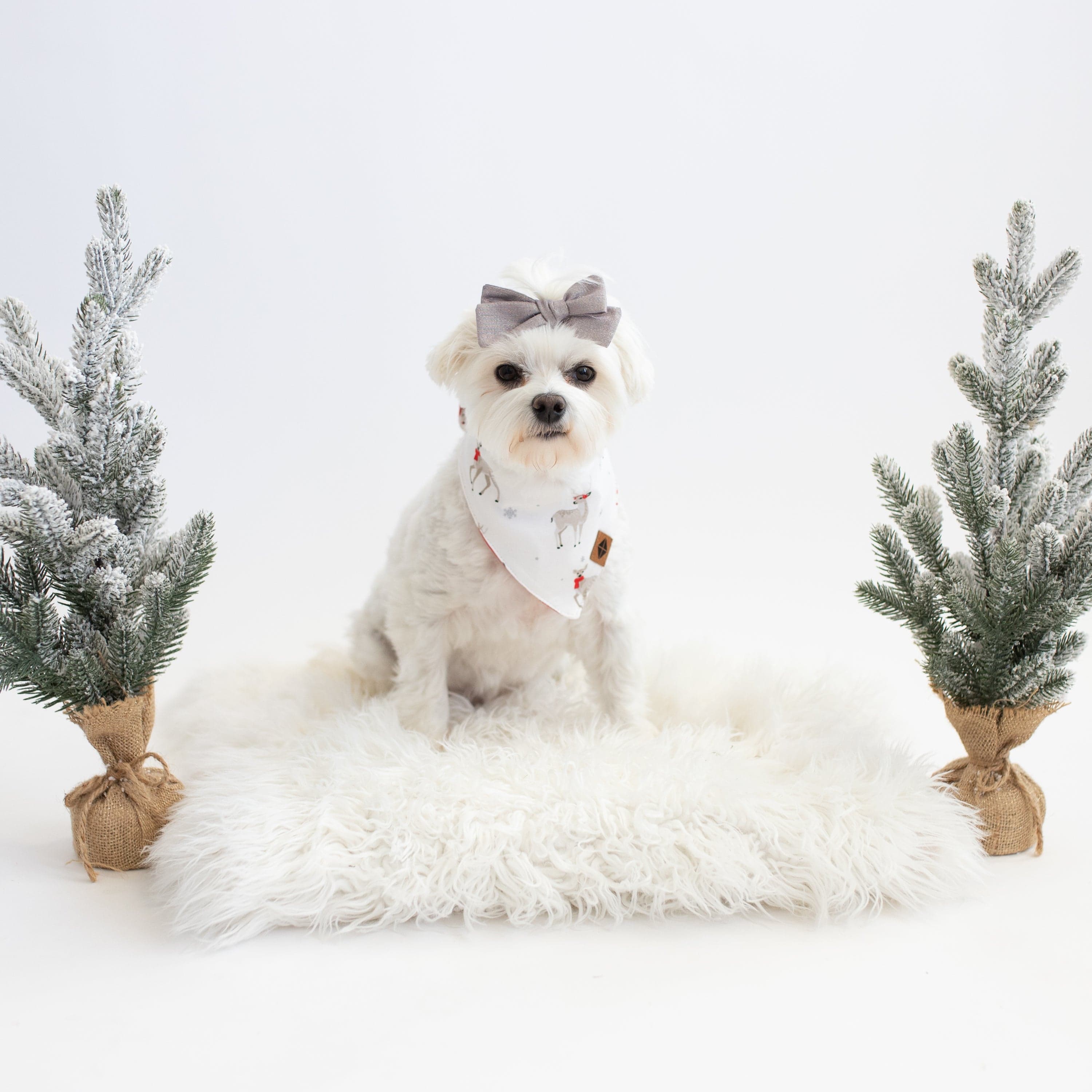 Kyte Baby Dog Bandana Dog Bandana in Cloud Deer