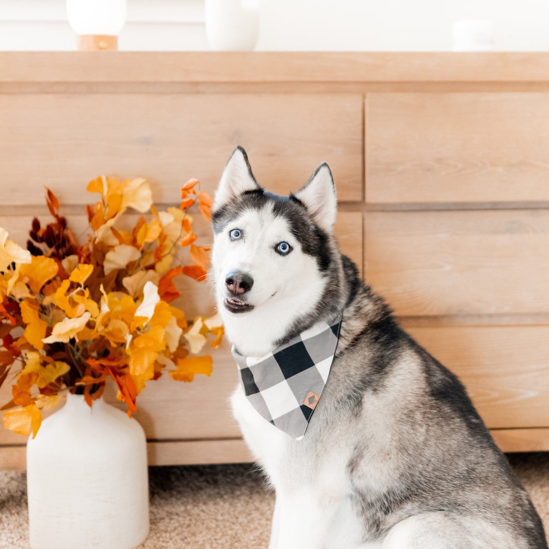 Kyte Baby Dog Bandana Dog Bandana in Midnight Plaid