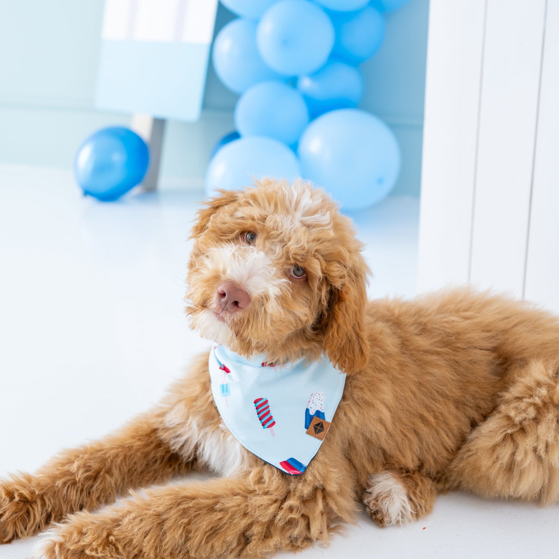 Kyte Baby Dog Bandana Dog Bandana in Popsicle