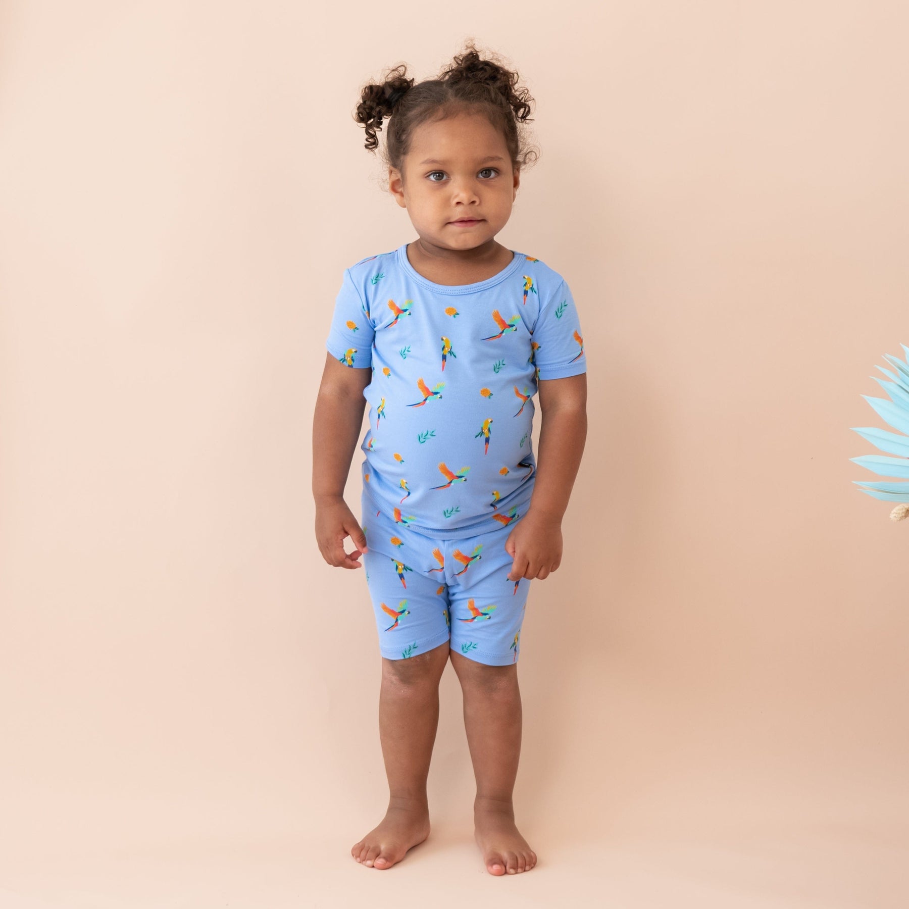 Kyte Baby Short Sleeve Toddler Pajama Set Short Sleeve Pajamas in Macaw