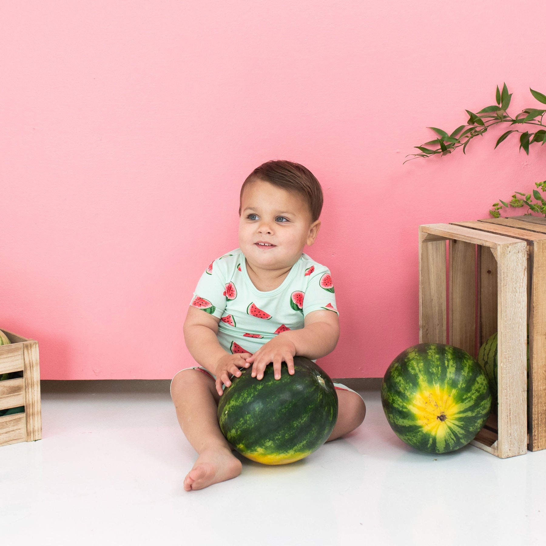 Kyte Baby Short Sleeve Toddler Pajama Set Short Sleeve Pajamas in Watermelon